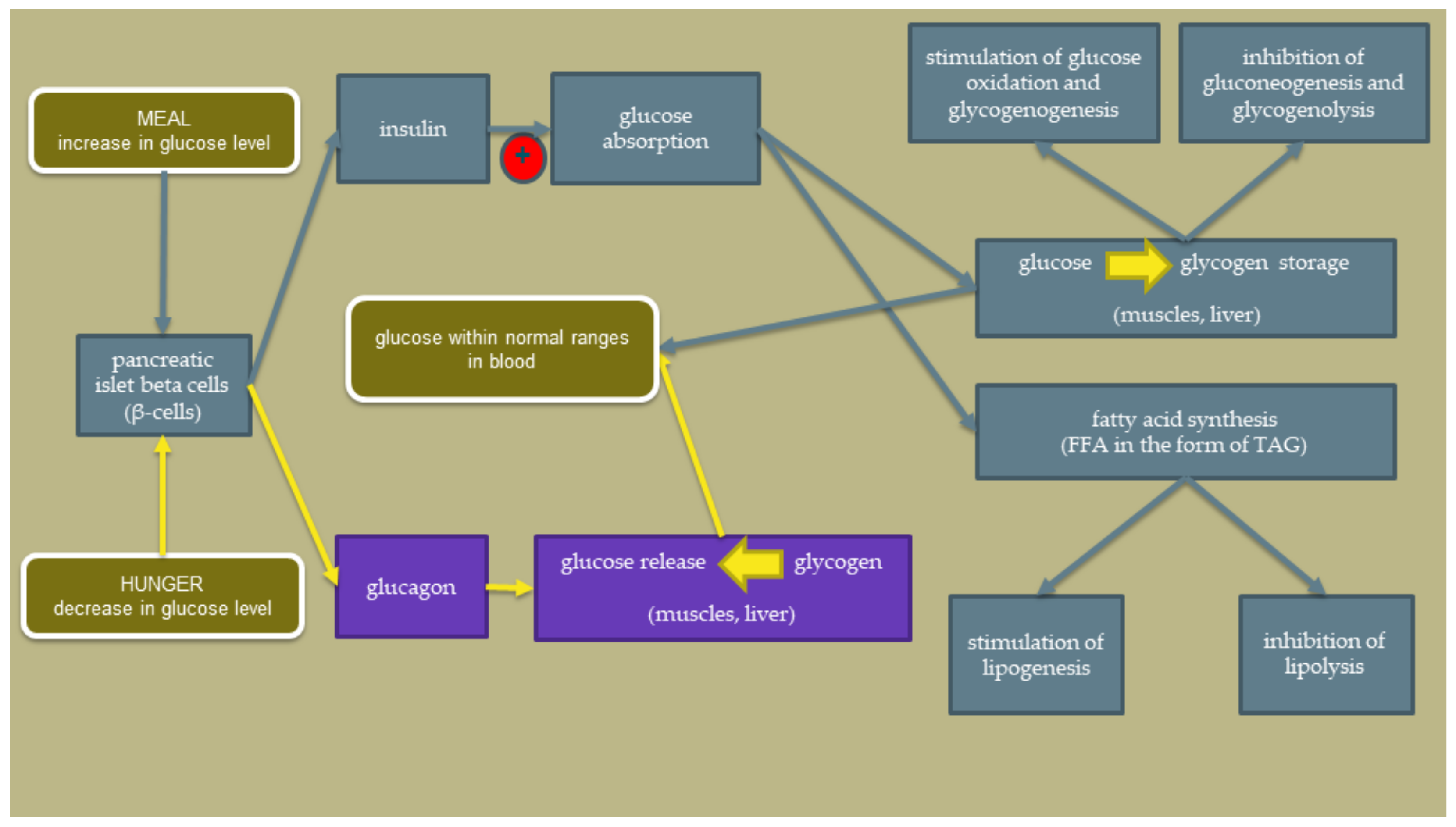 Ijerph 19 07160 g001 550