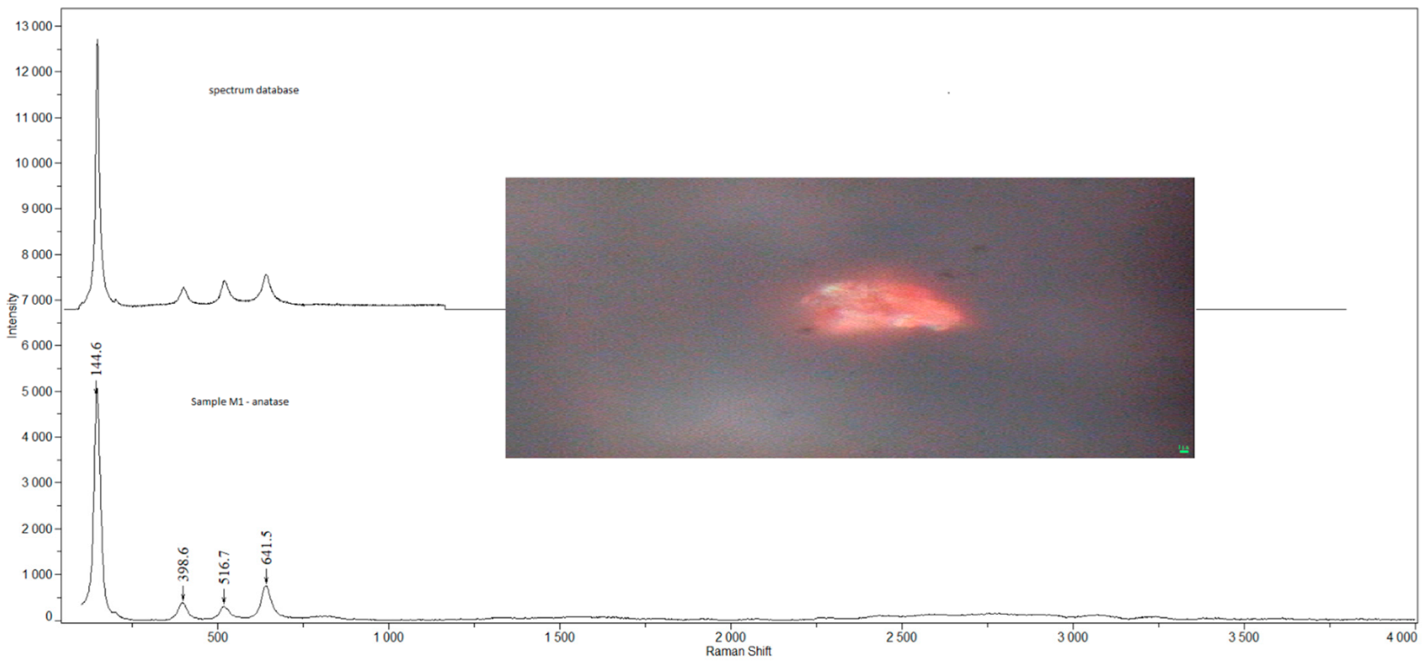 Ijerph 19 07269 g001