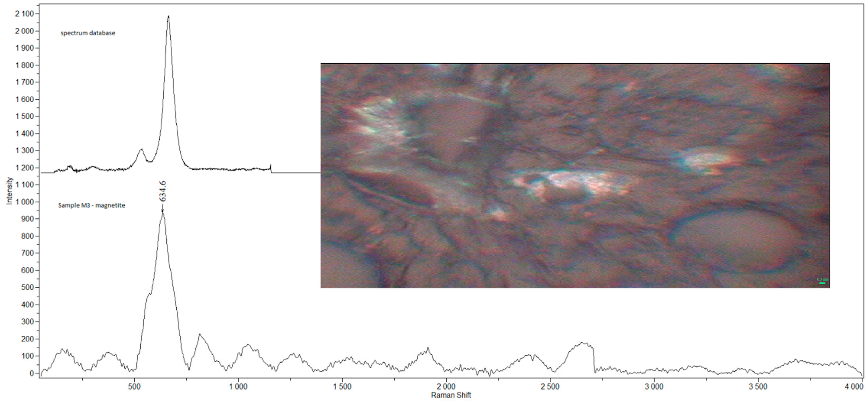 Ijerph 19 07269 g005