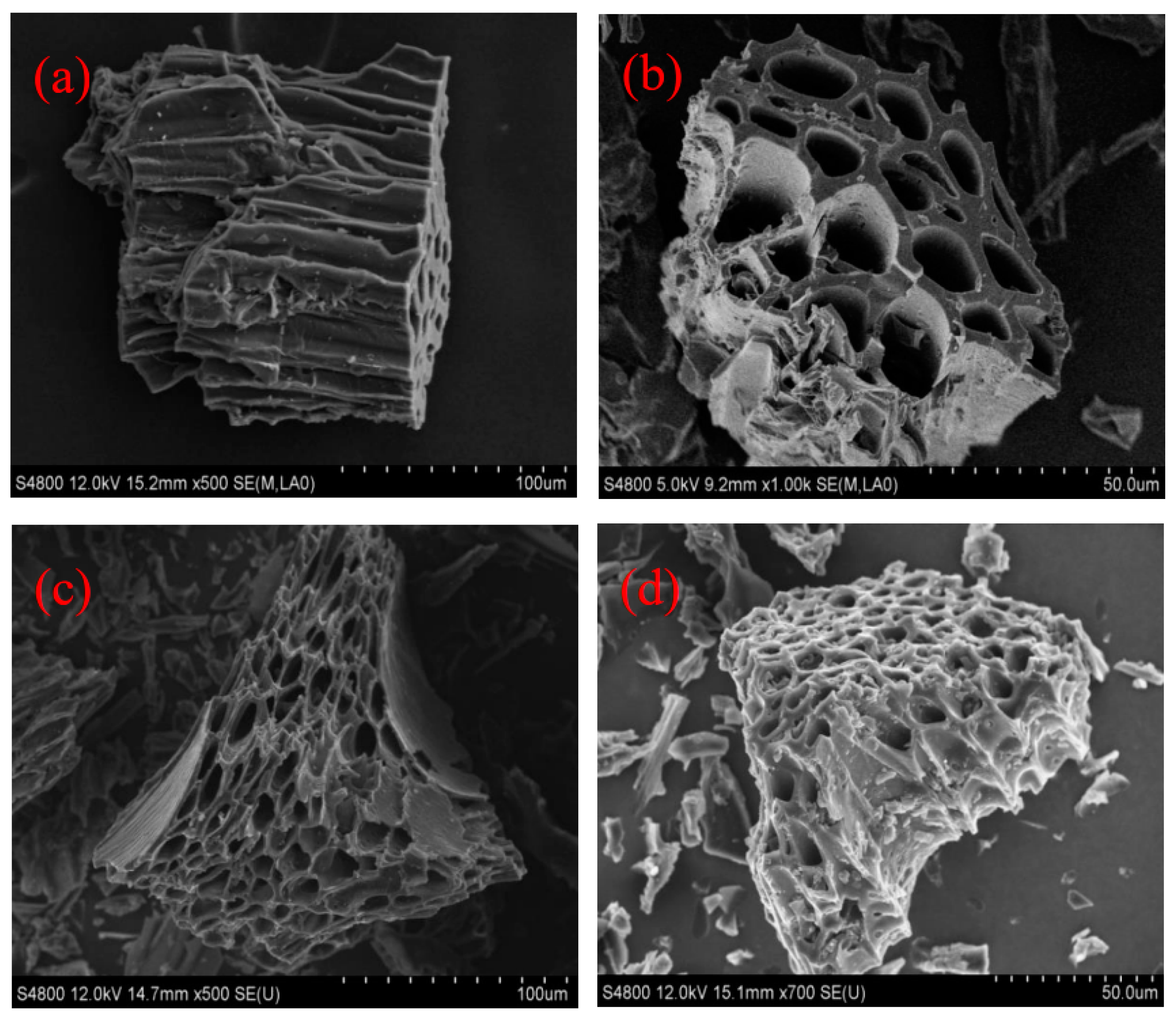 Ijerph 19 07282 g001