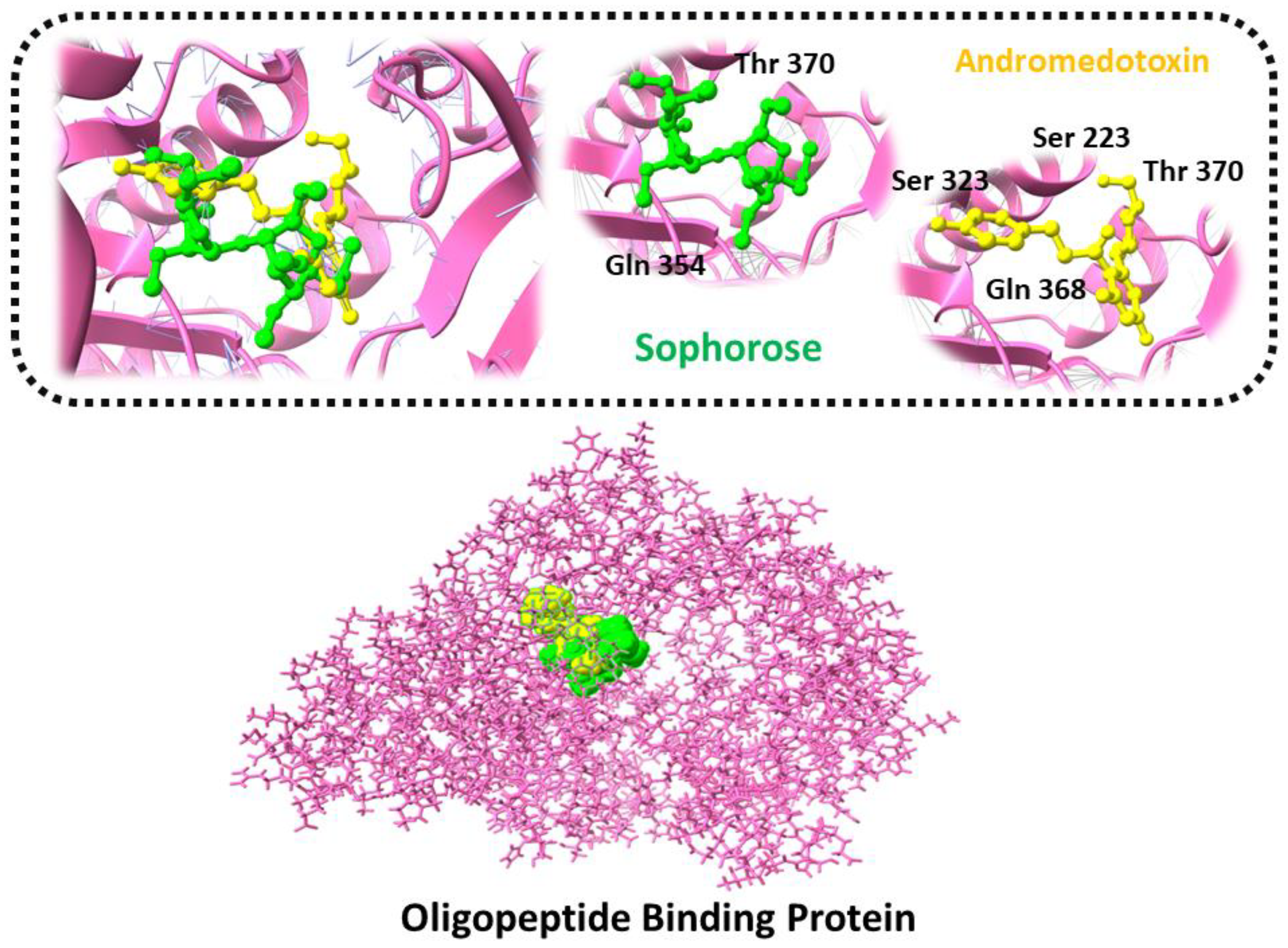 Ijerph 19 07306 g005 Ijerph 19 07306 g005
