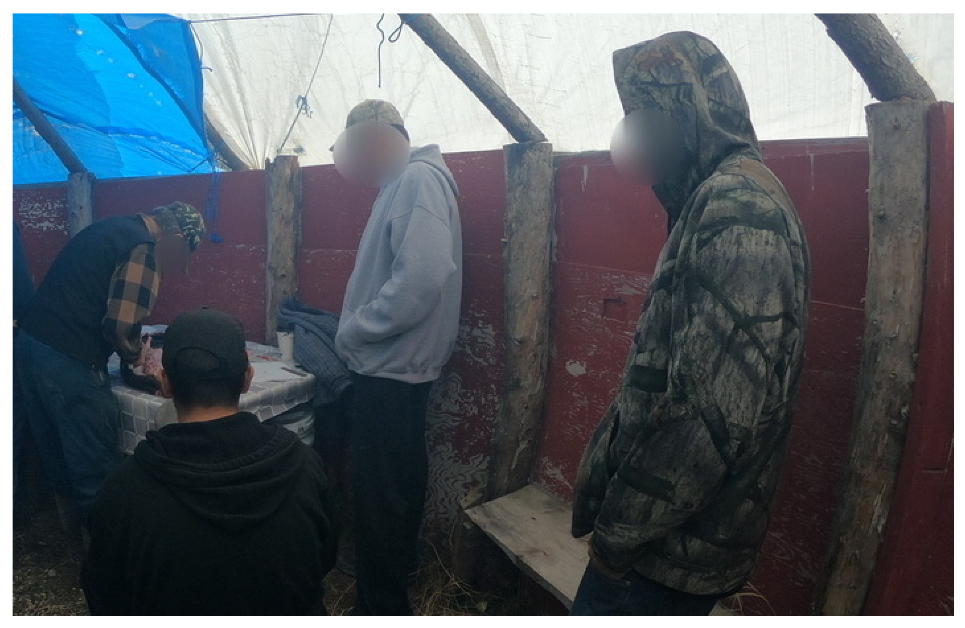 Ijerph 19 07335 g001 Ijerph 19 07335 g001