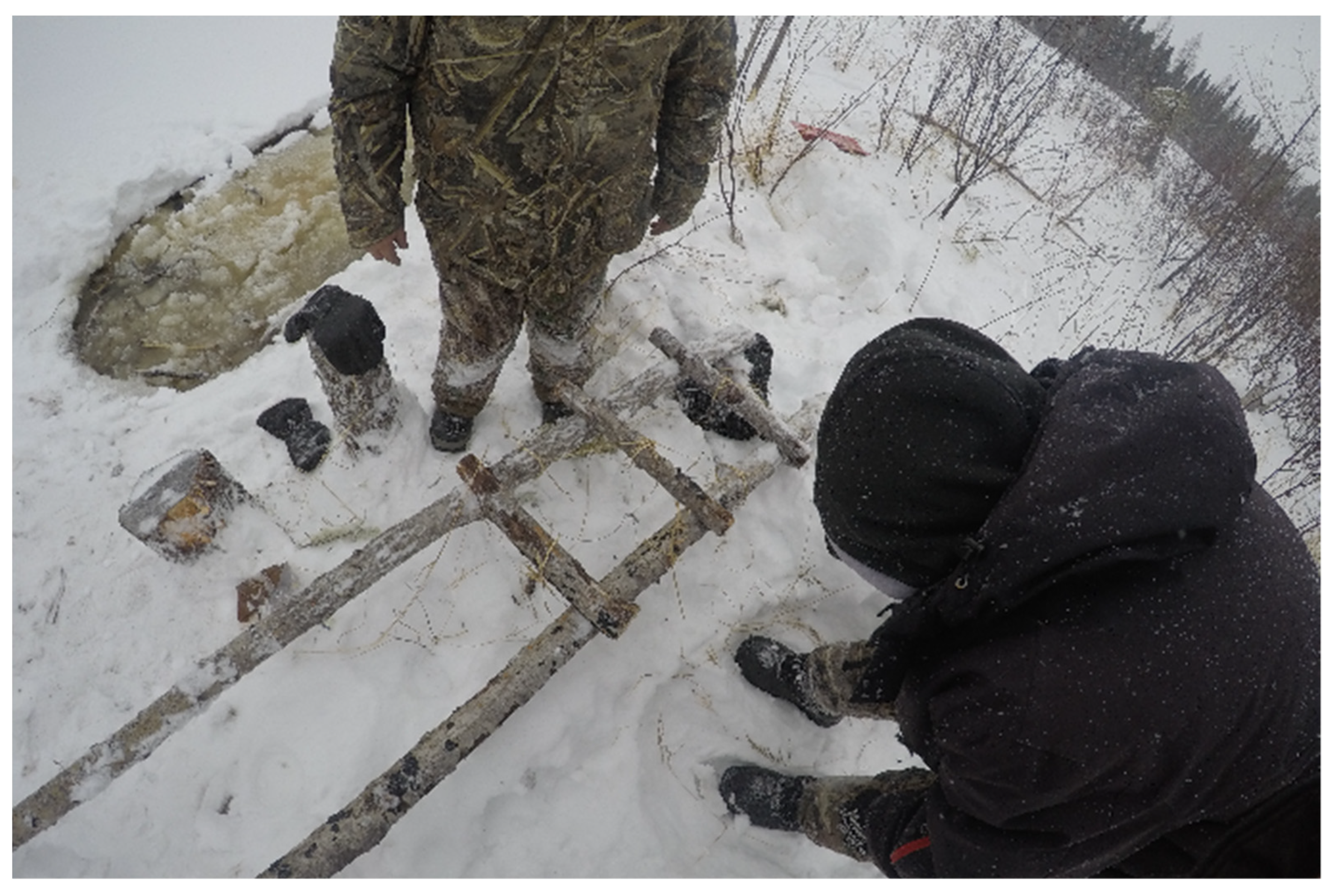 Ijerph 19 07335 g003 Ijerph 19 07335 g003