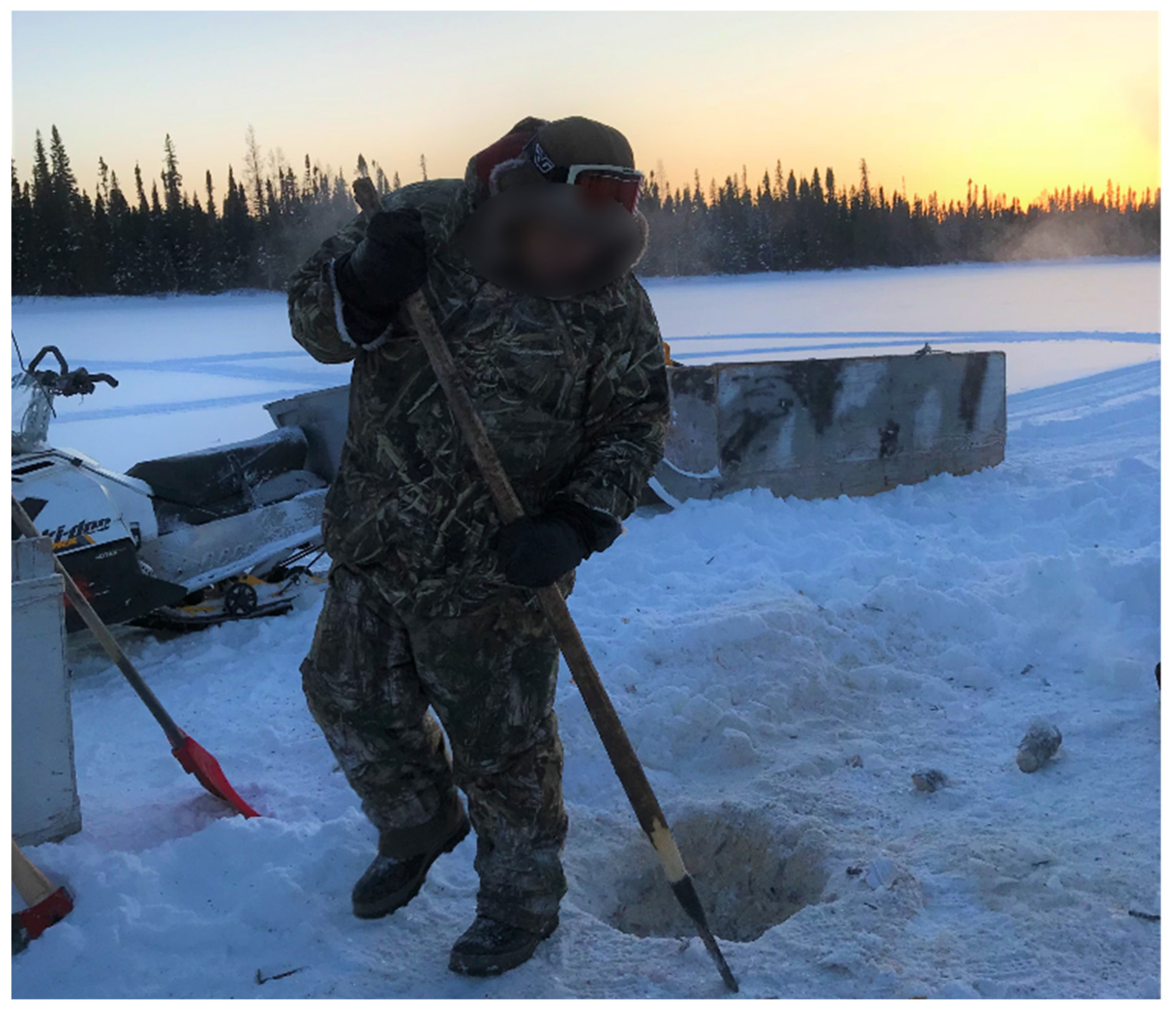 Ijerph 19 07335 g005 Ijerph 19 07335 g005