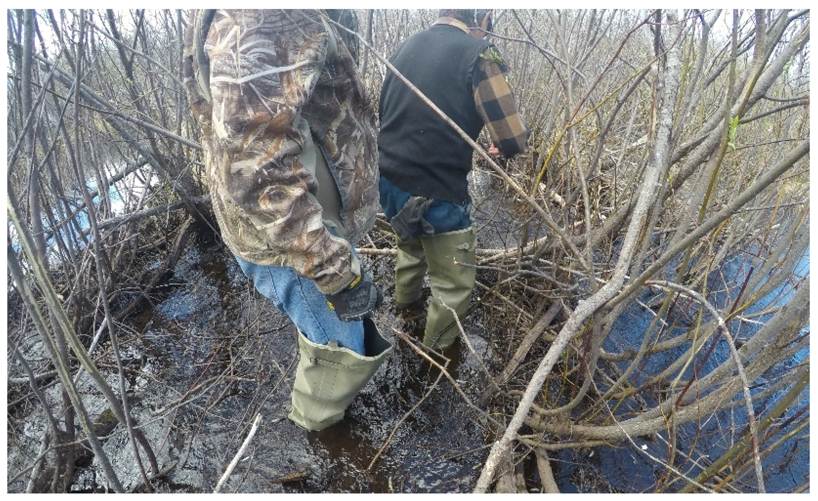 Ijerph 19 07335 g008 Ijerph 19 07335 g008