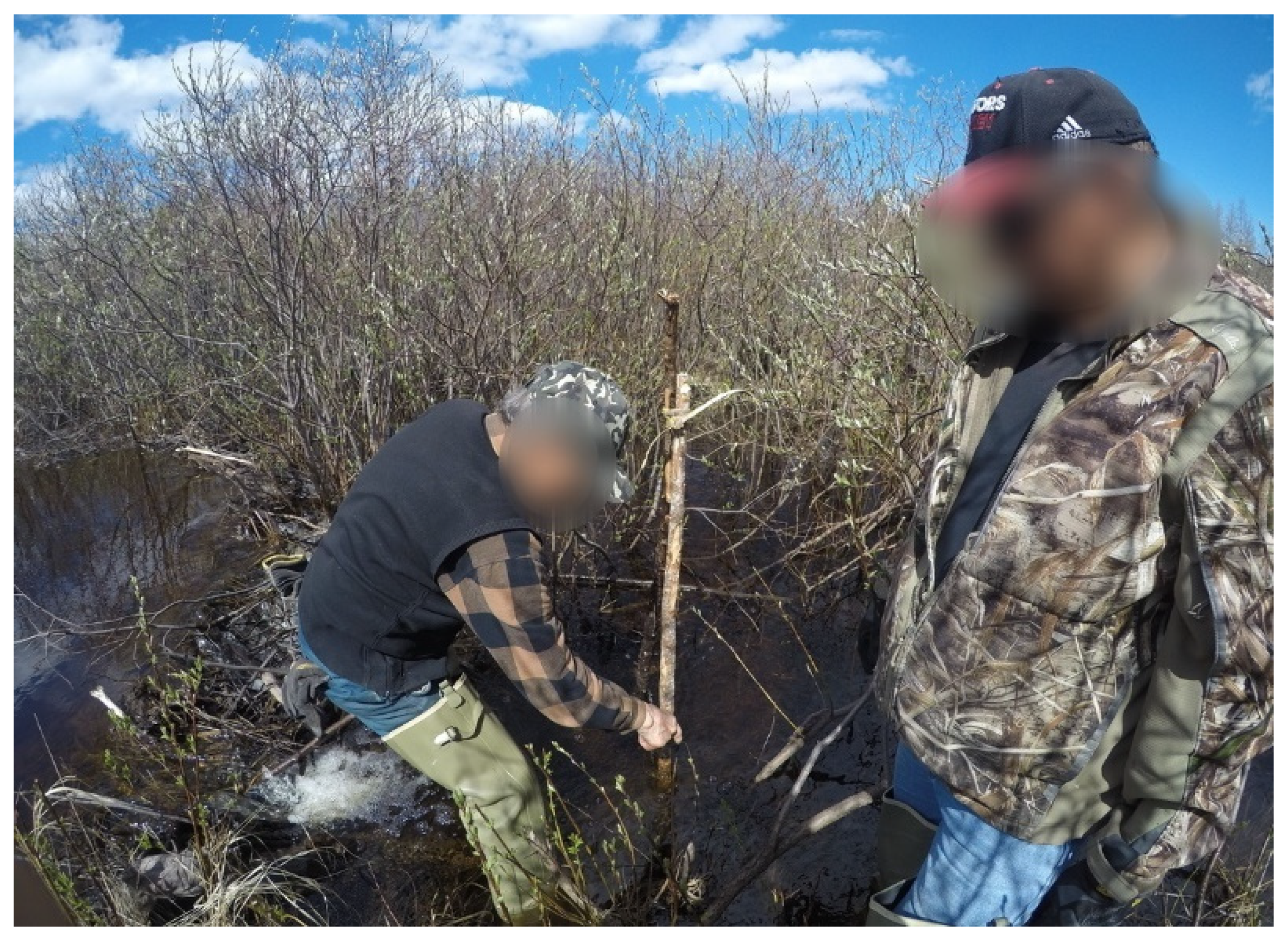 Ijerph 19 07335 g009 Ijerph 19 07335 g009