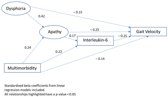 Aiding and Abetting Anhedonia: Impact of Inflammation on the Brain and  Pharmacological Implications