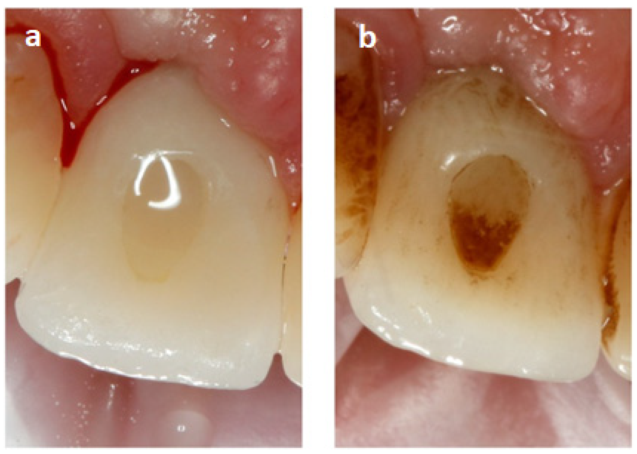 Ijerph 19 07494 g001