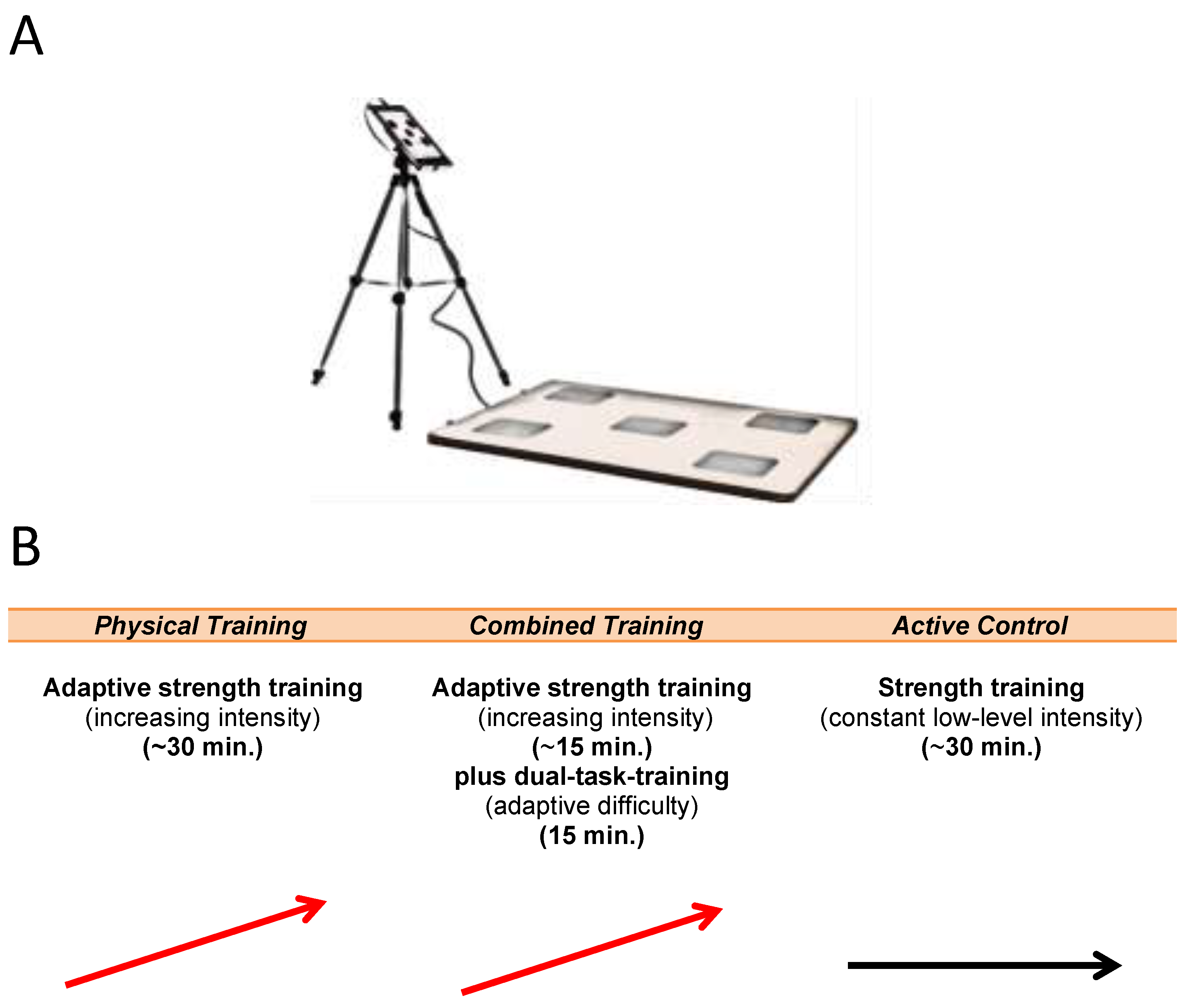 Ijerph 19 07506 g001 550