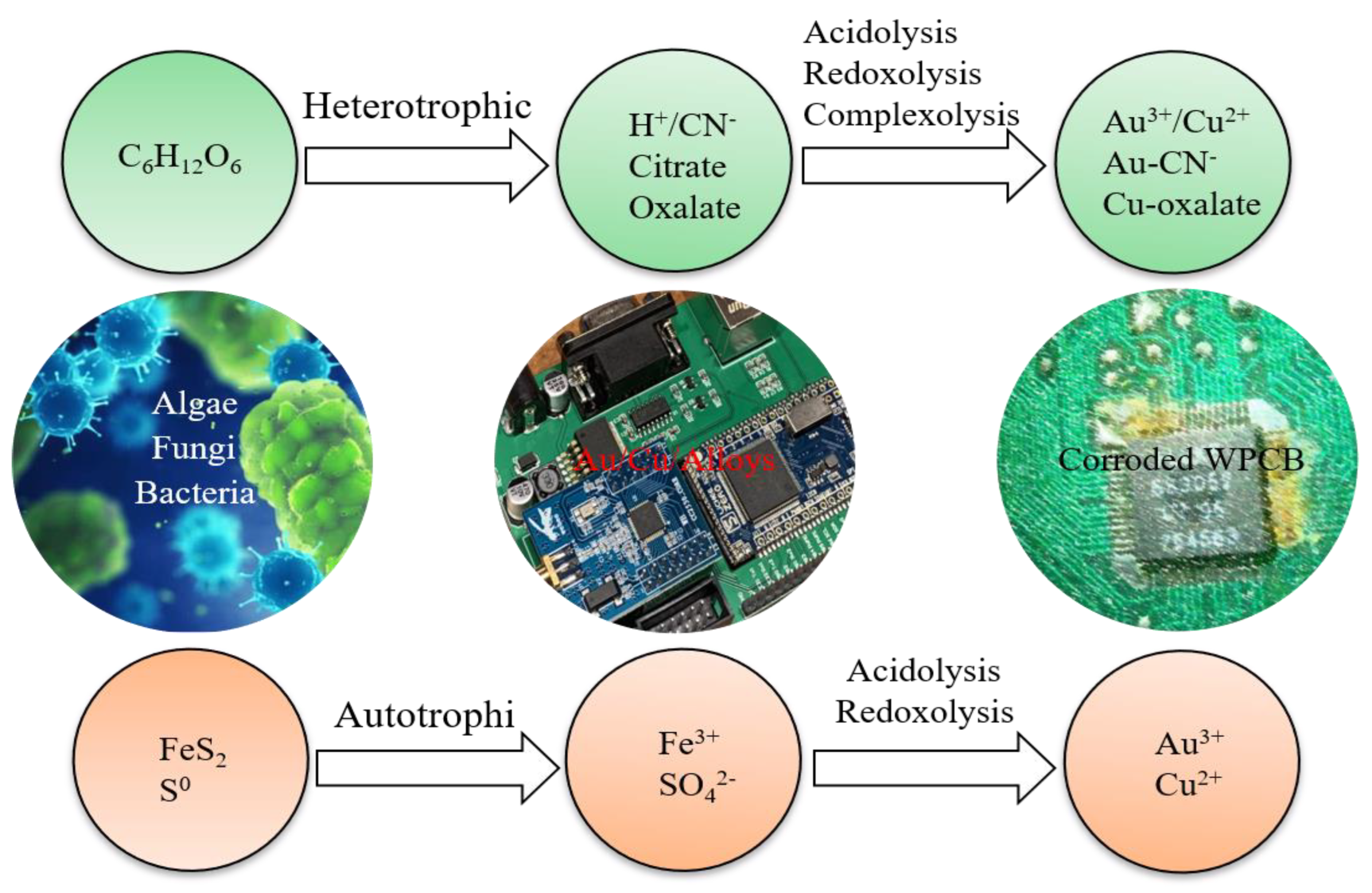 Ijerph 19 07508 g003 550