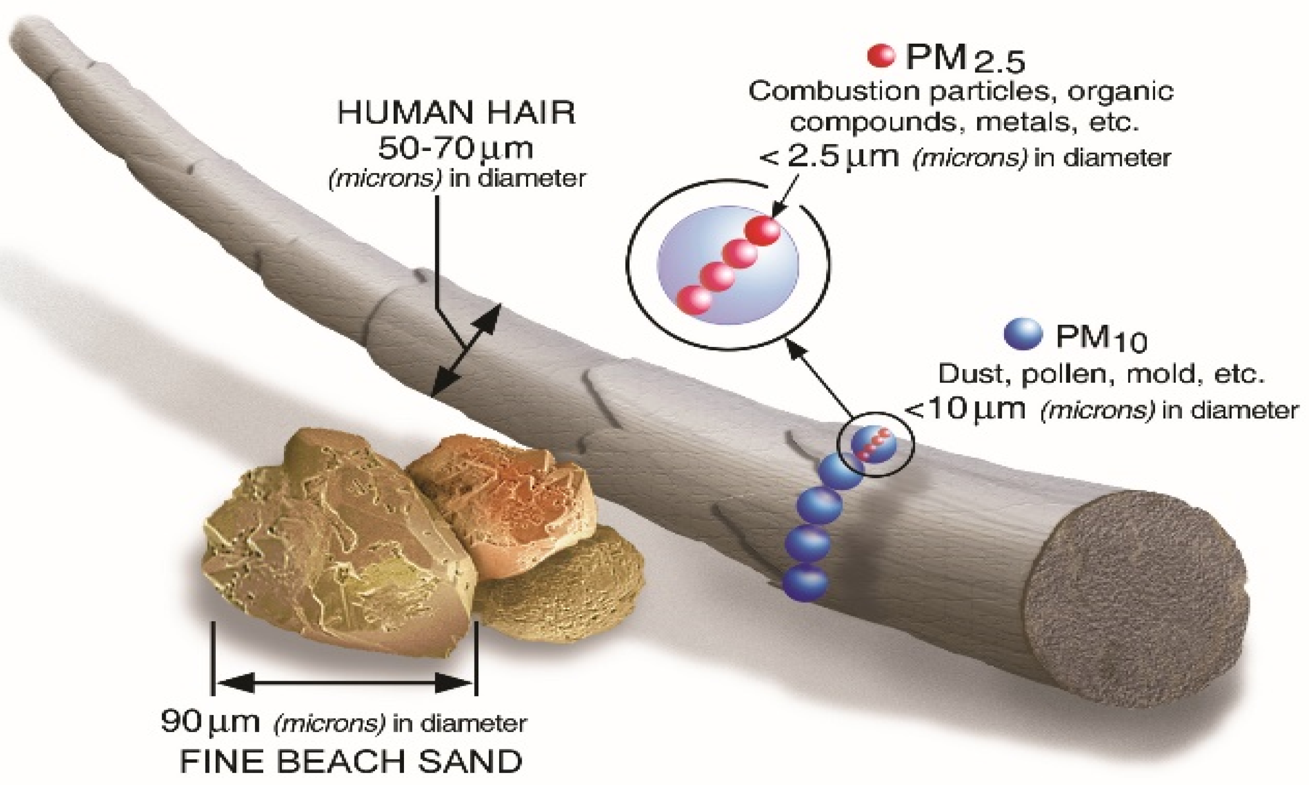 Ijerph 19 07627 g001 550