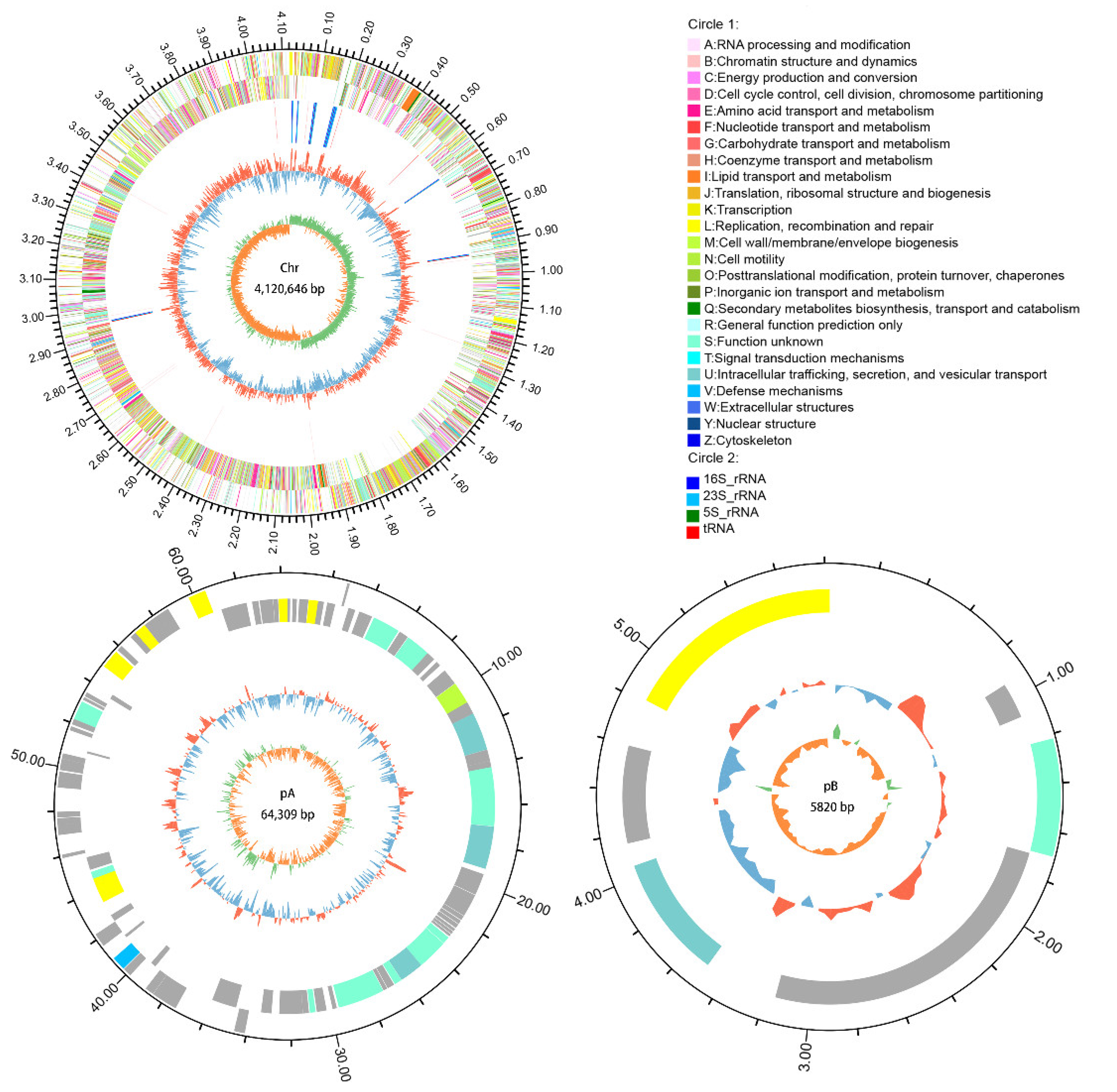 γ-Polyglutamic Acid Production, Biocontrol, and Stress γ-Polyglutamic Acid Production, Biocontrol, and Stress