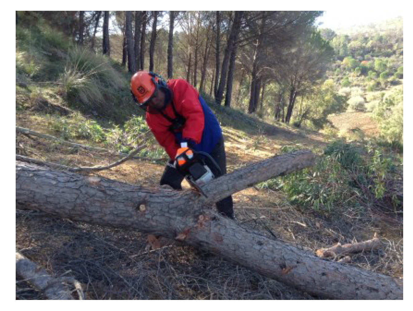 Ijerph 19 07695 g002 550