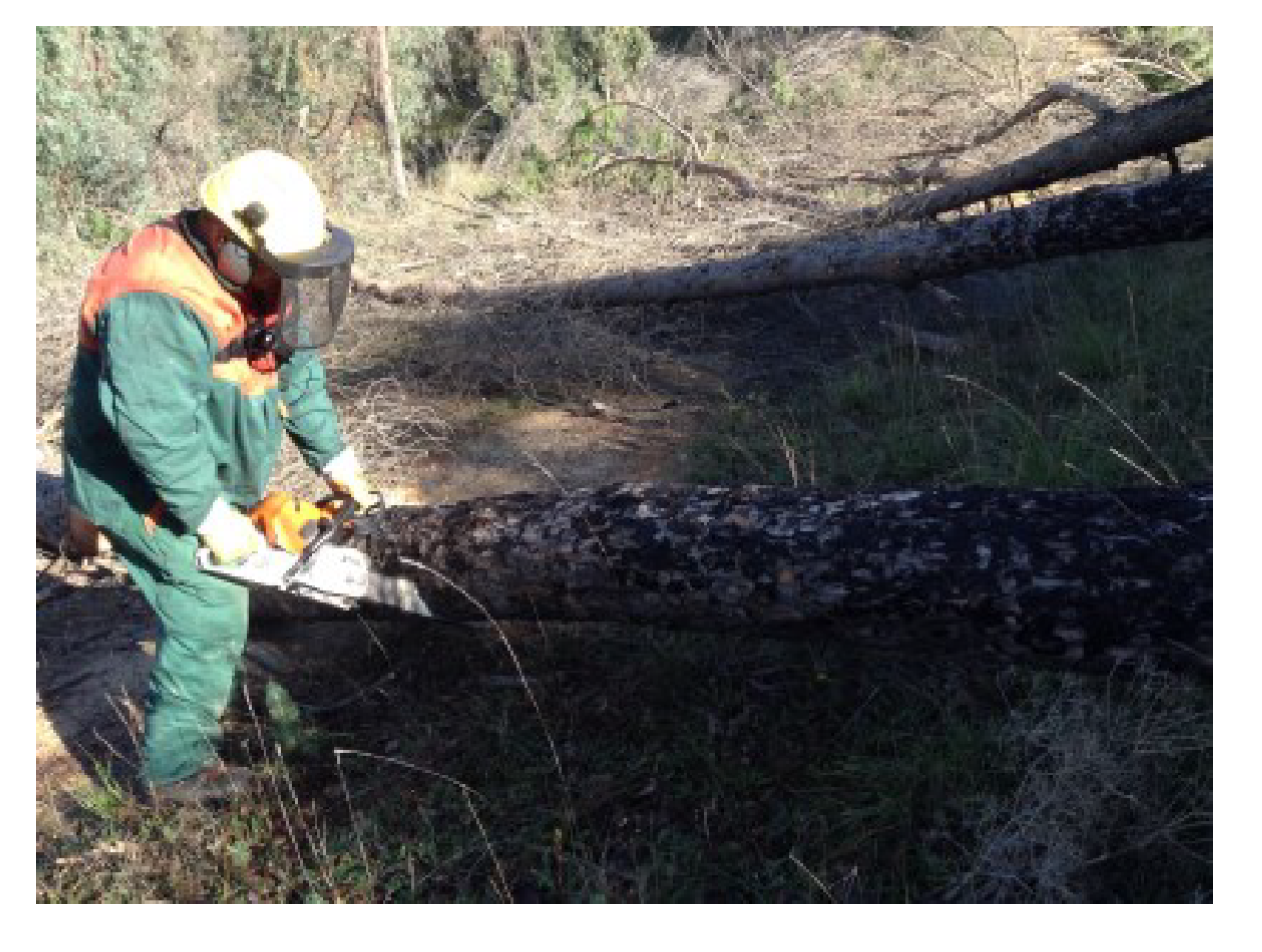 Ijerph 19 07695 g003 550