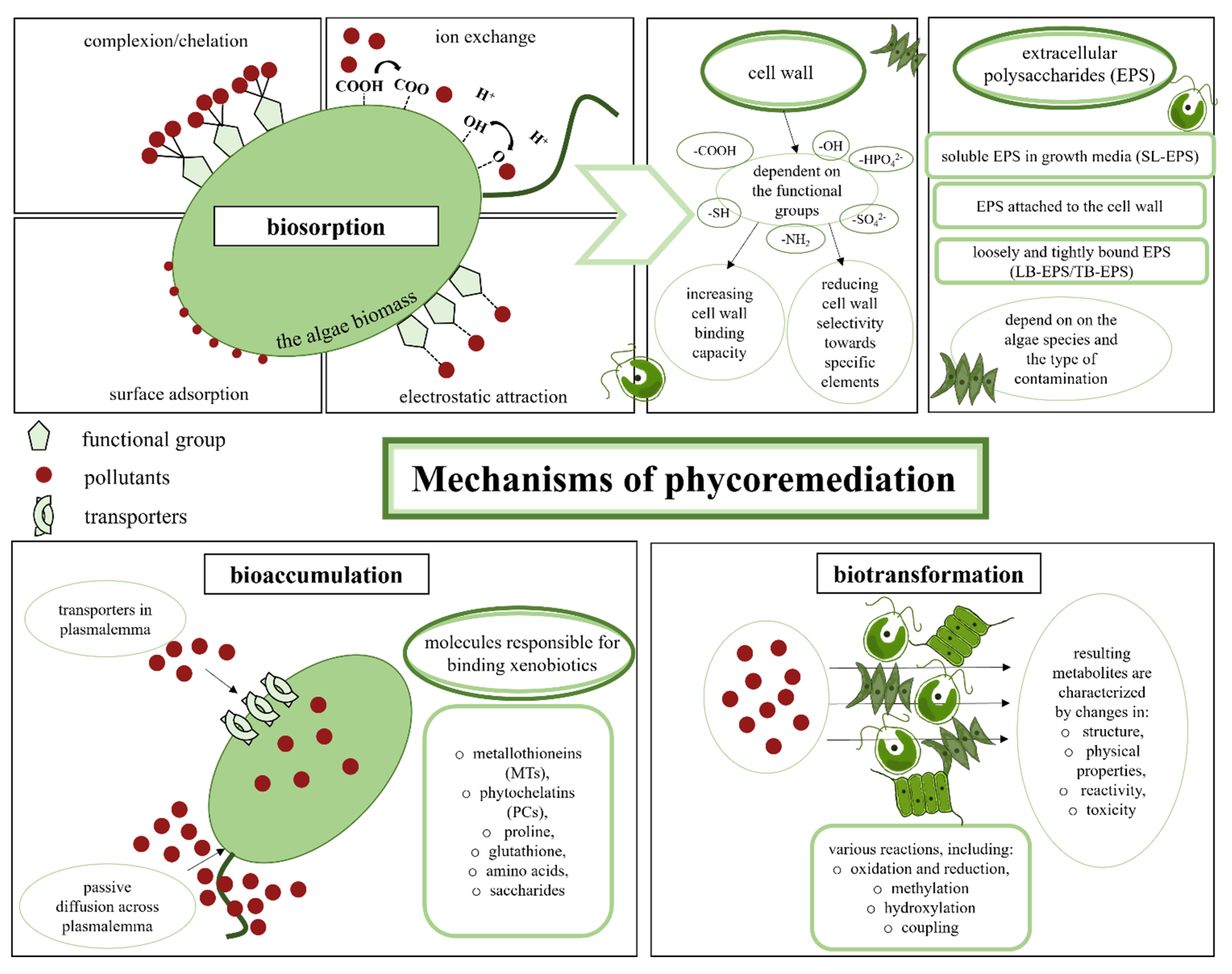 Ijerph 19 07717 g002