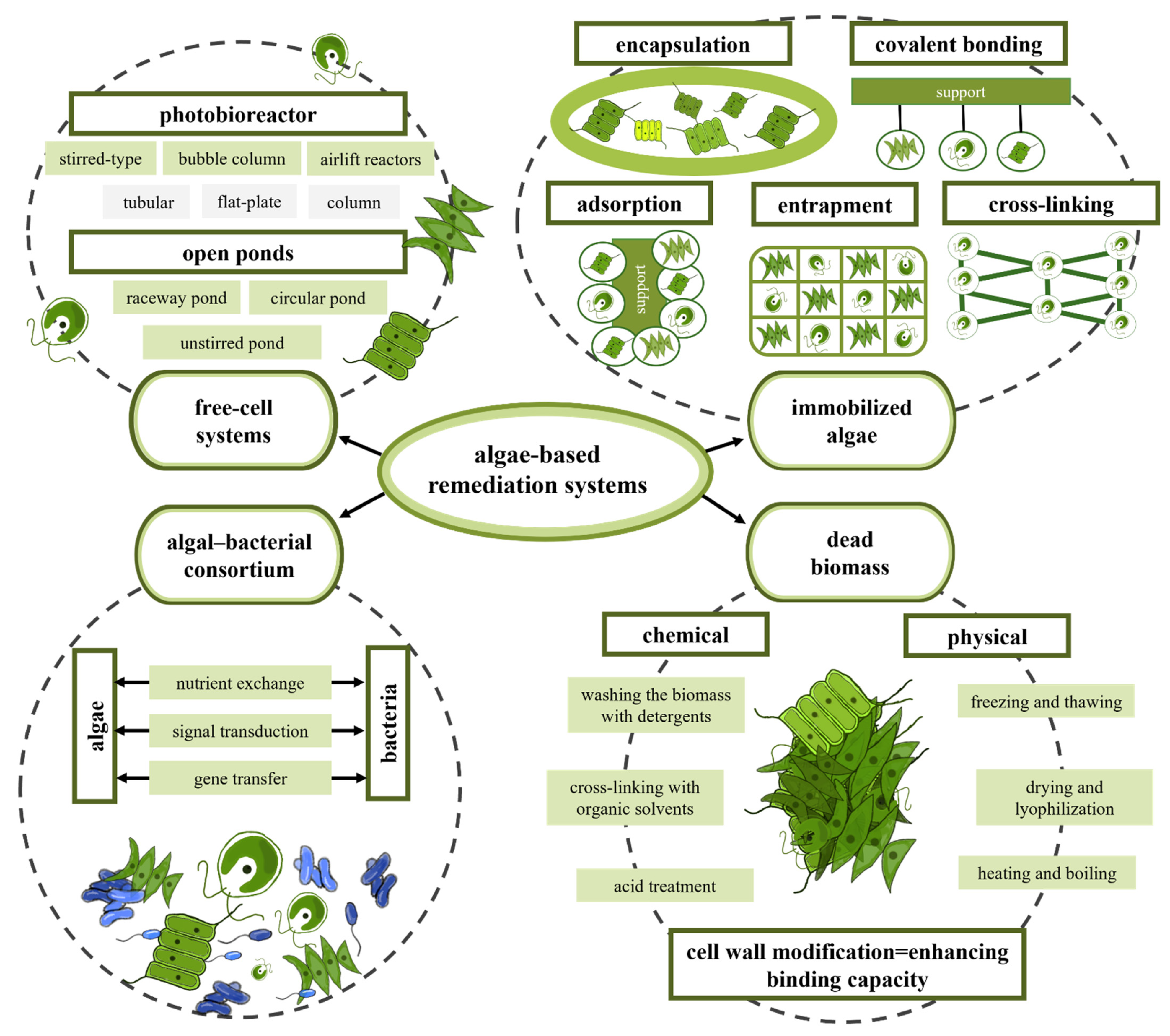 Ijerph 19 07717 g004