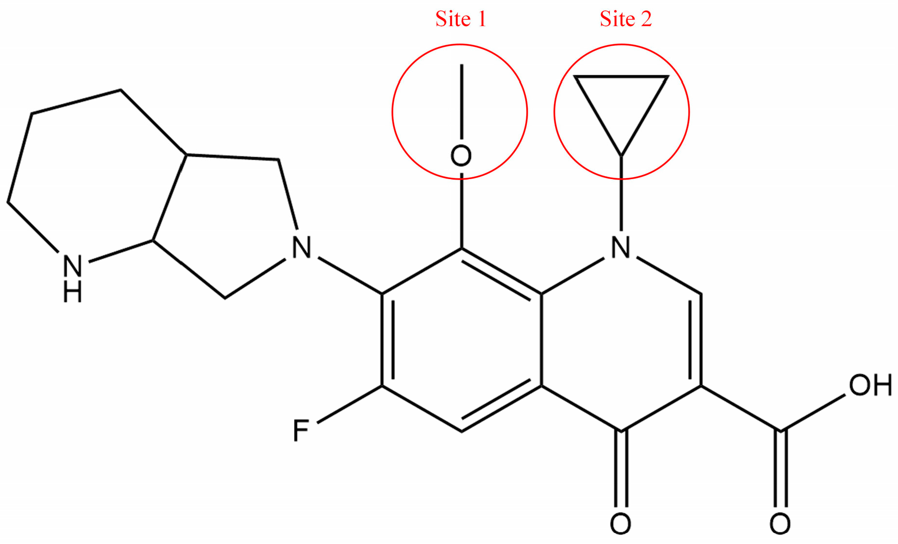 Ijerph 19 07766 g002 550
