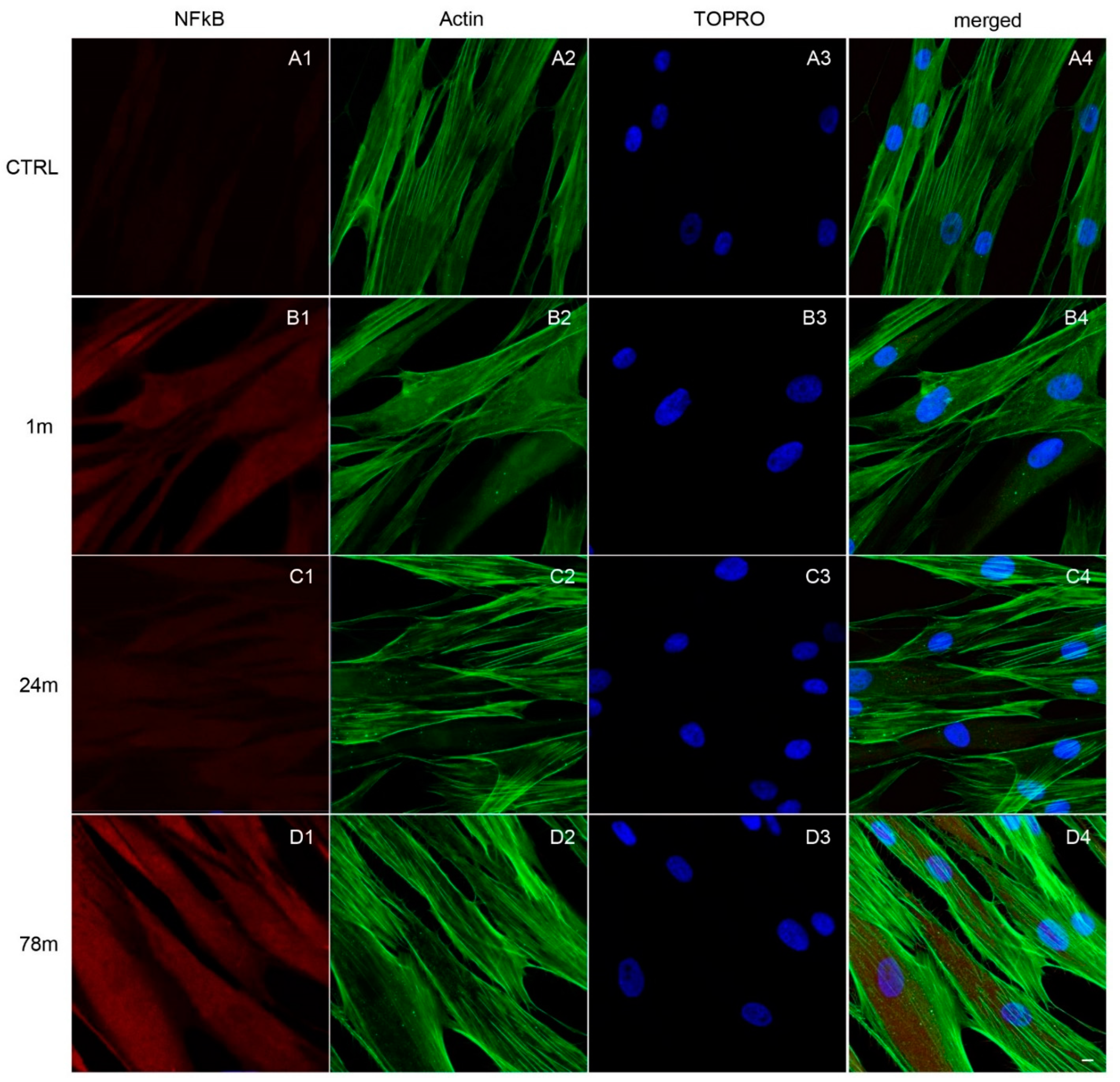 Ijerph 19 07782 g004 550