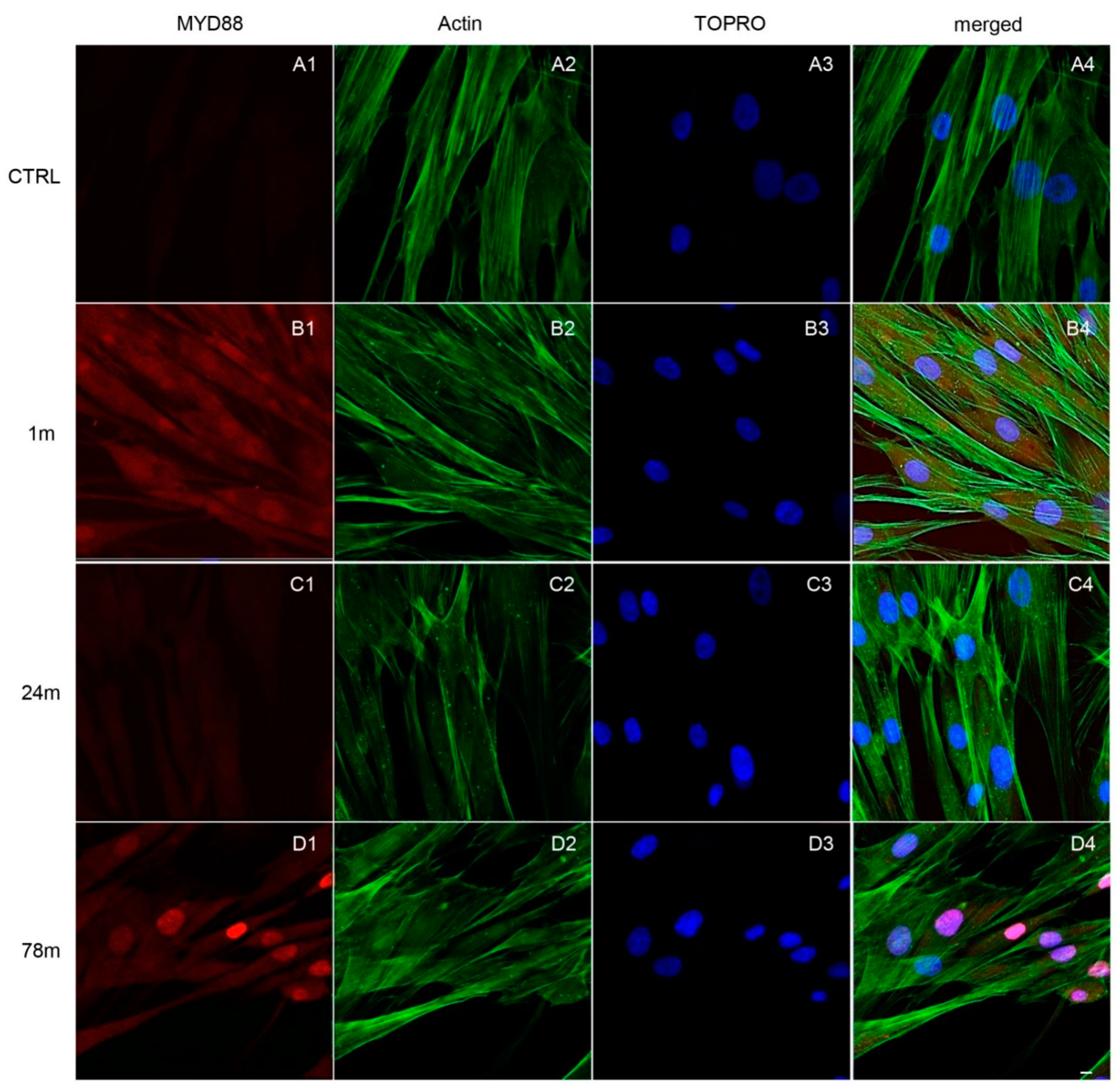 Ijerph 19 07782 g005 550