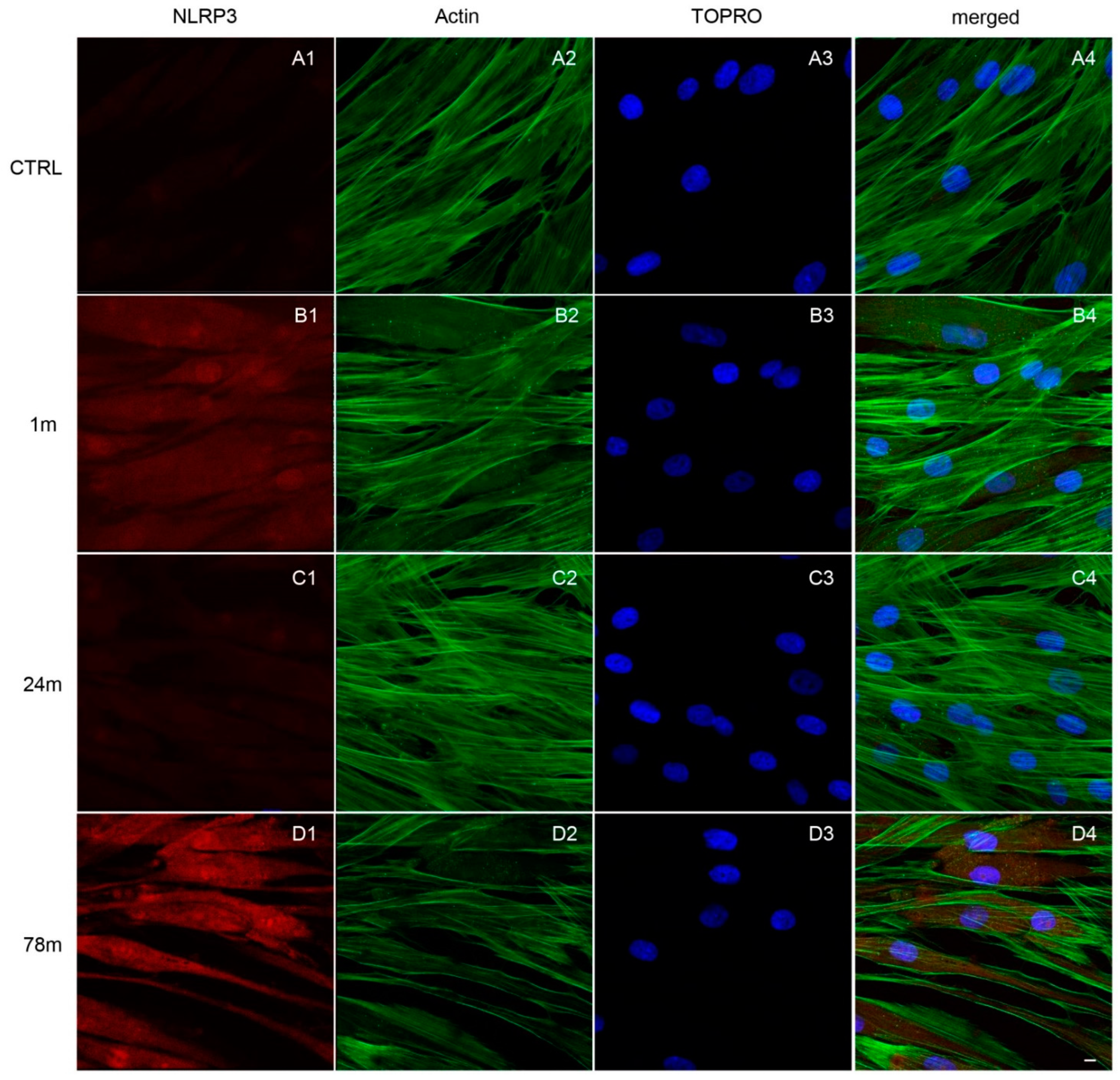 Ijerph 19 07782 g006 550