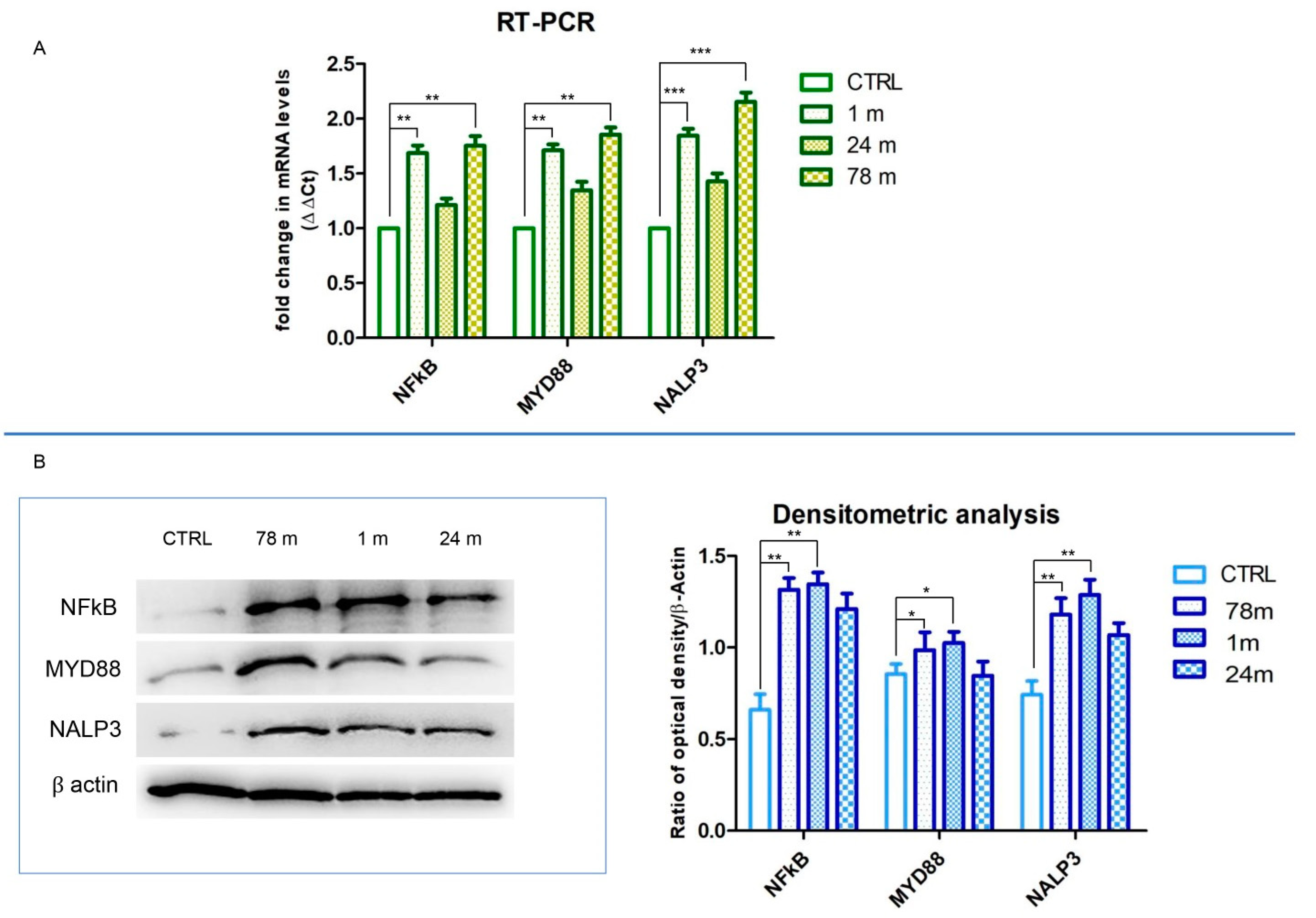 Ijerph 19 07782 g007 550