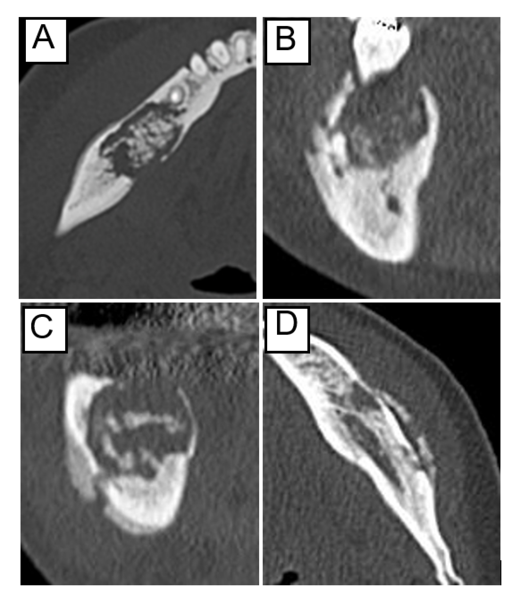 Ijerph 19 07854 g001 550