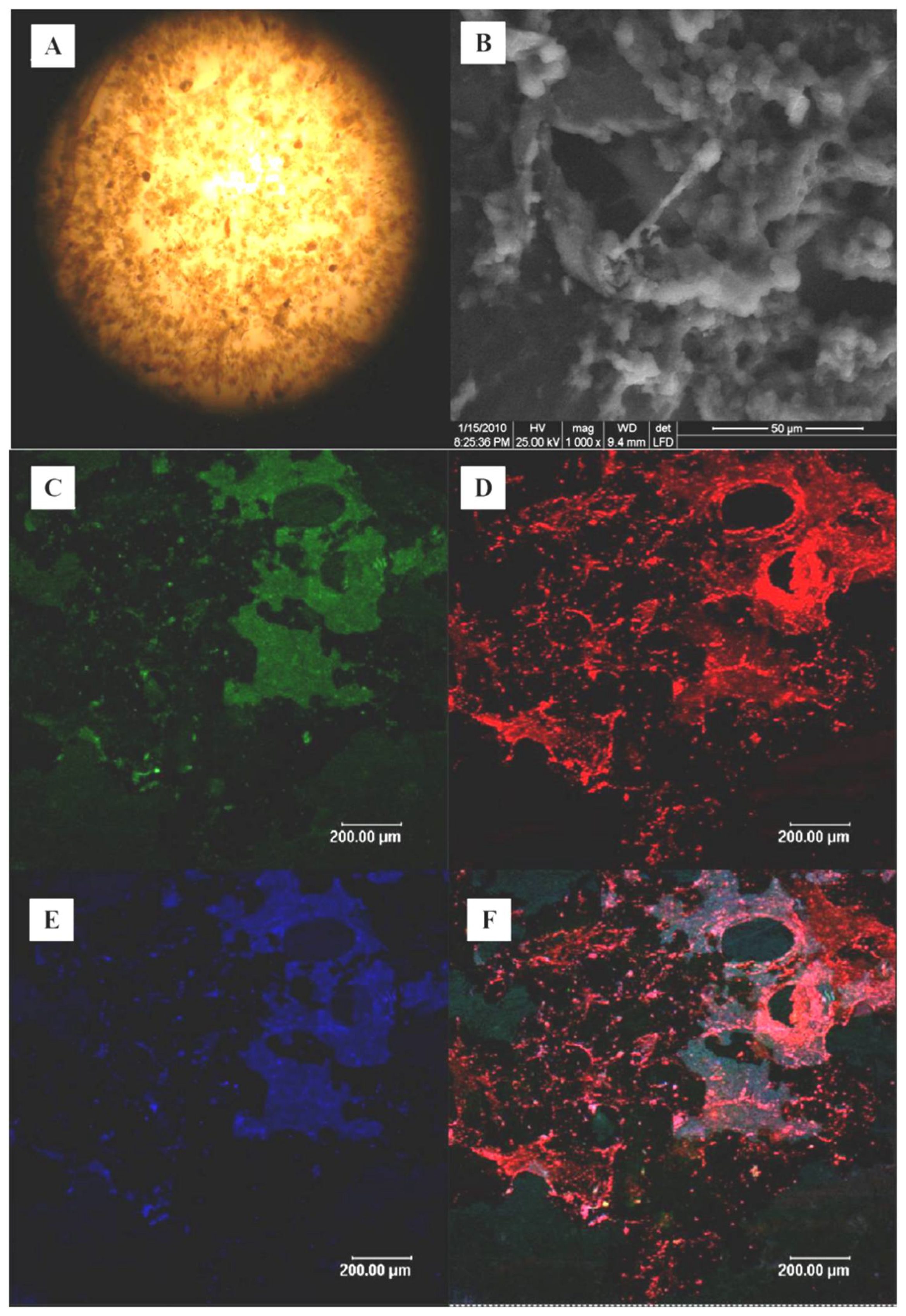 Ijerph 19 07858 g005