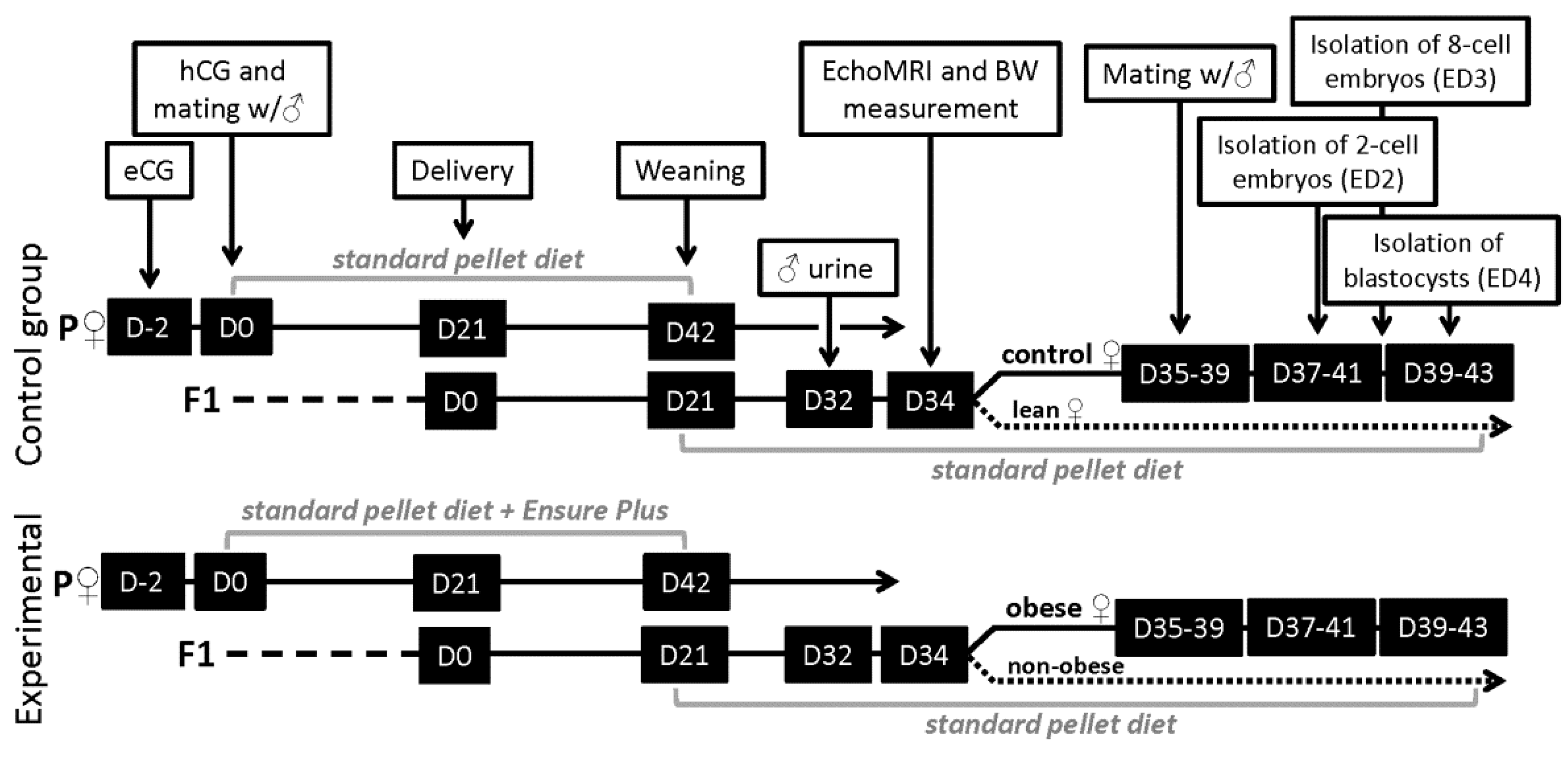 Ijerph 19 07918 g001