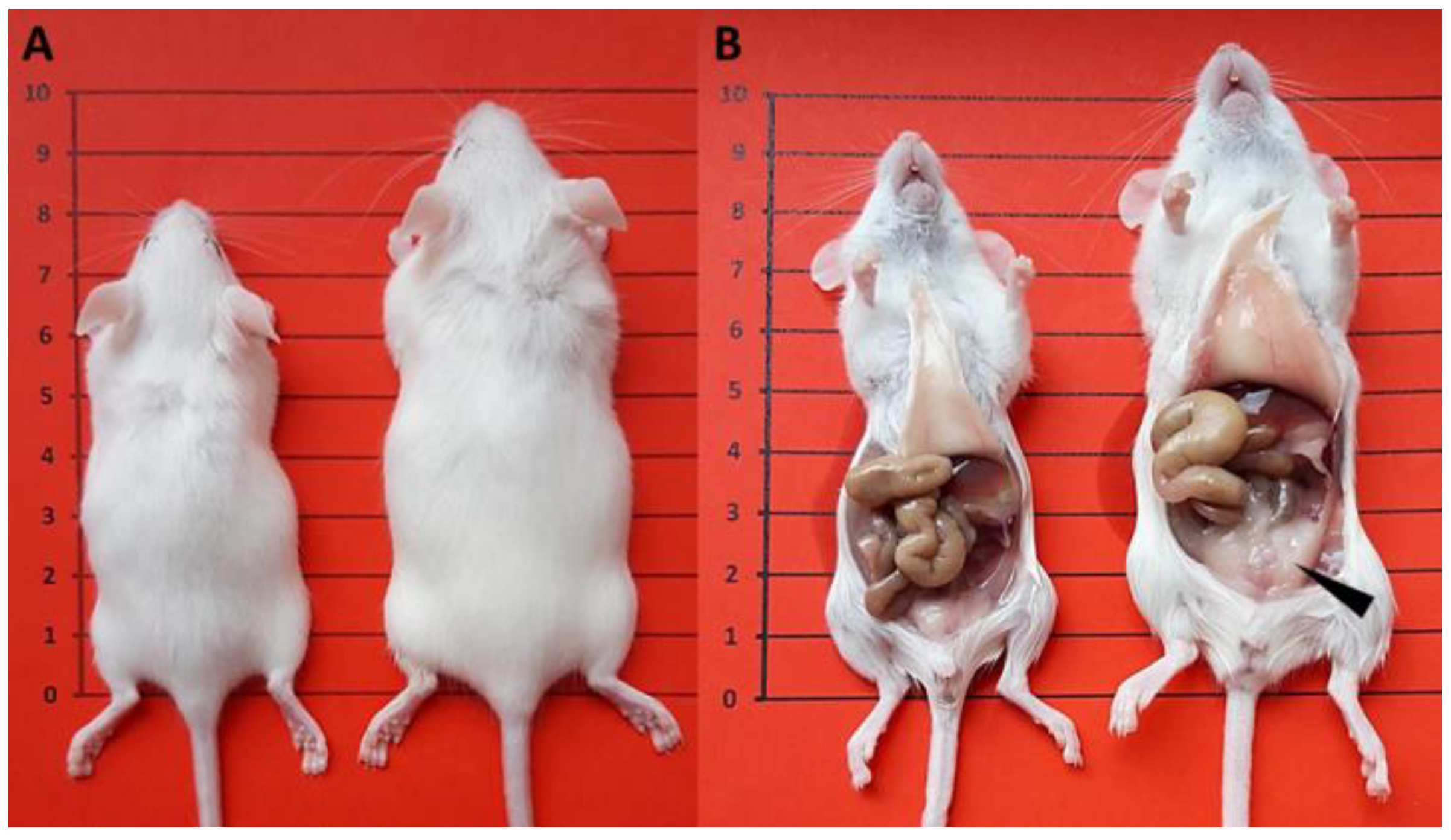 Ijerph 19 07918 g002