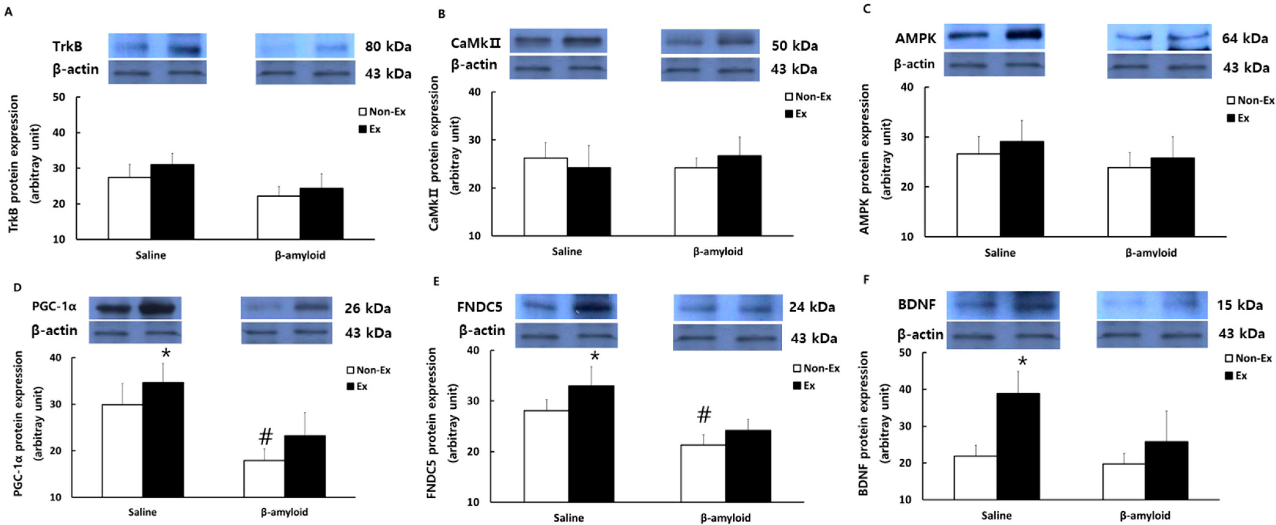 Ijerph 19 07921 g007