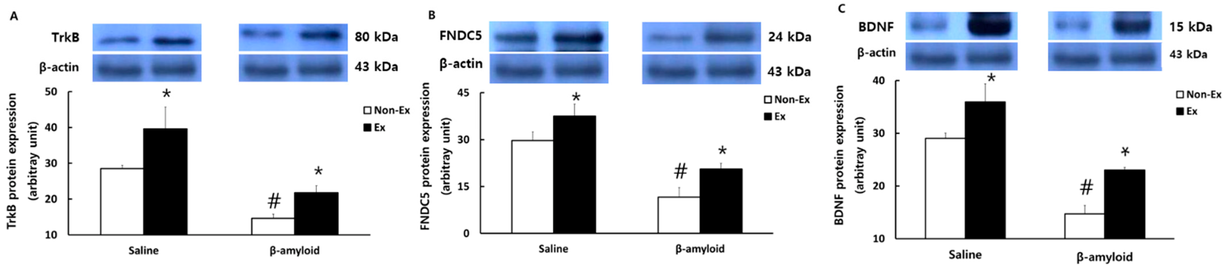 Ijerph 19 07921 g008