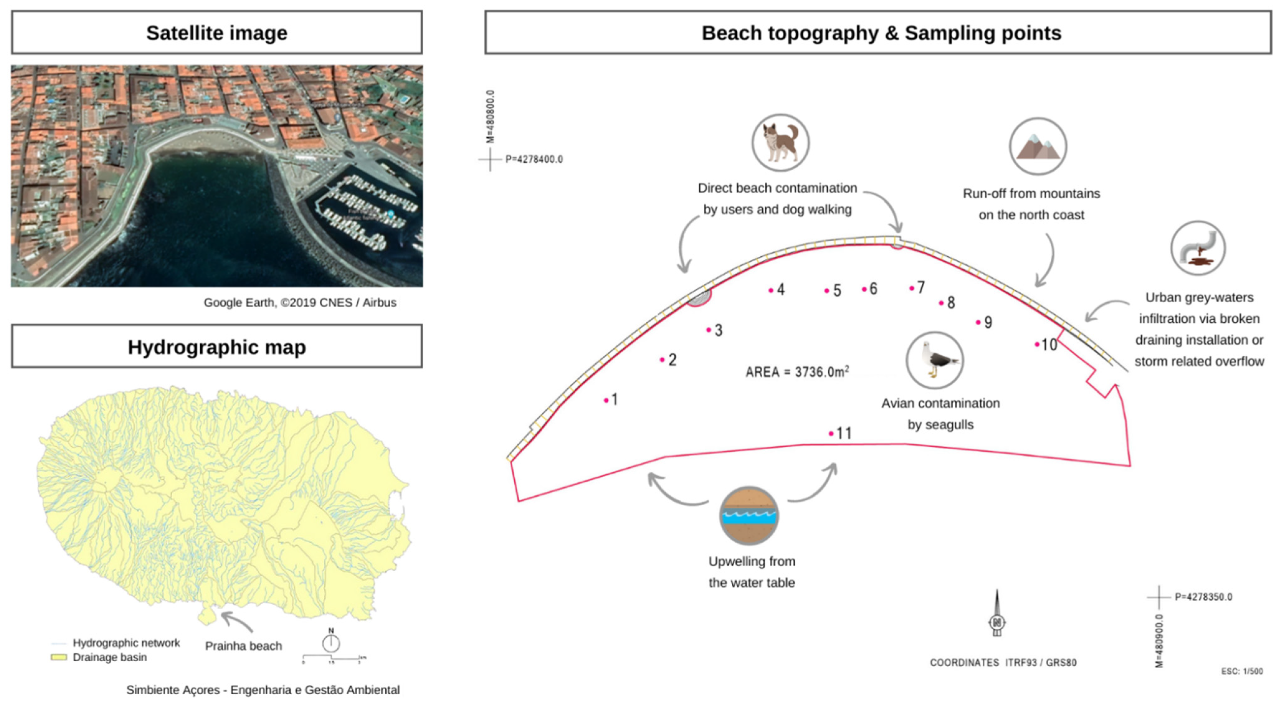 Ijerph 19 07934 g001
