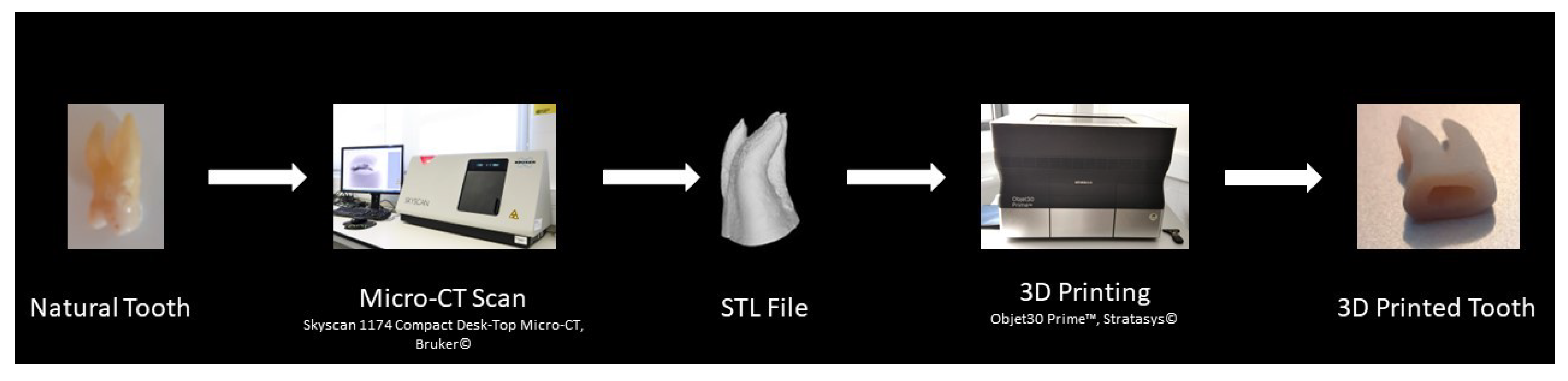 Ijerph 19 07966 g001 Ijerph 19 07966 g001