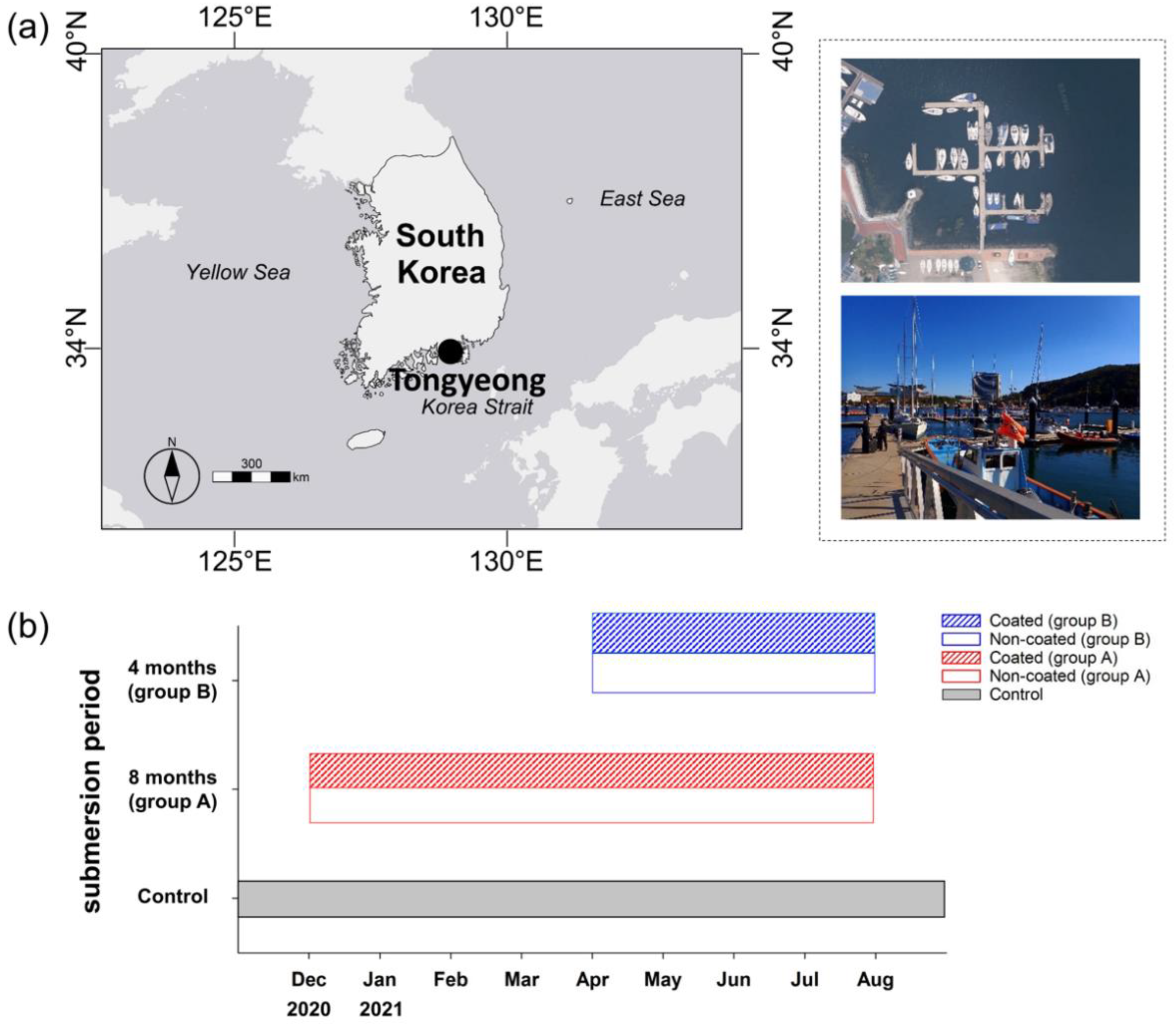 Ijerph 19 07973 g001 550