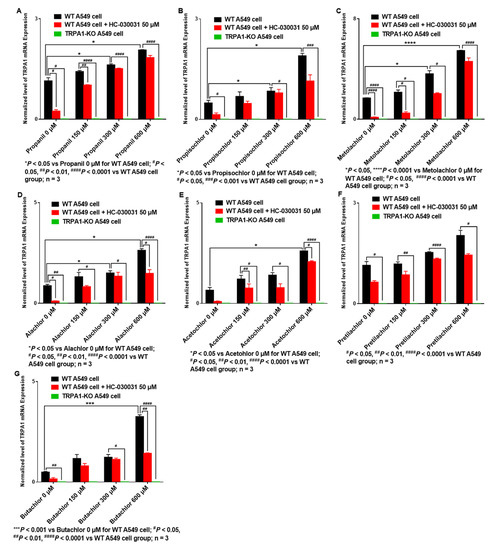 Potential Common Mechanisms of Cytotoxicity Induced by Amide