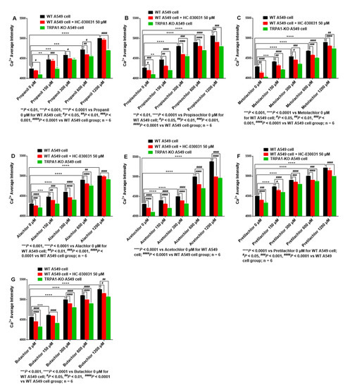 Potential Common Mechanisms of Cytotoxicity Induced by Amide