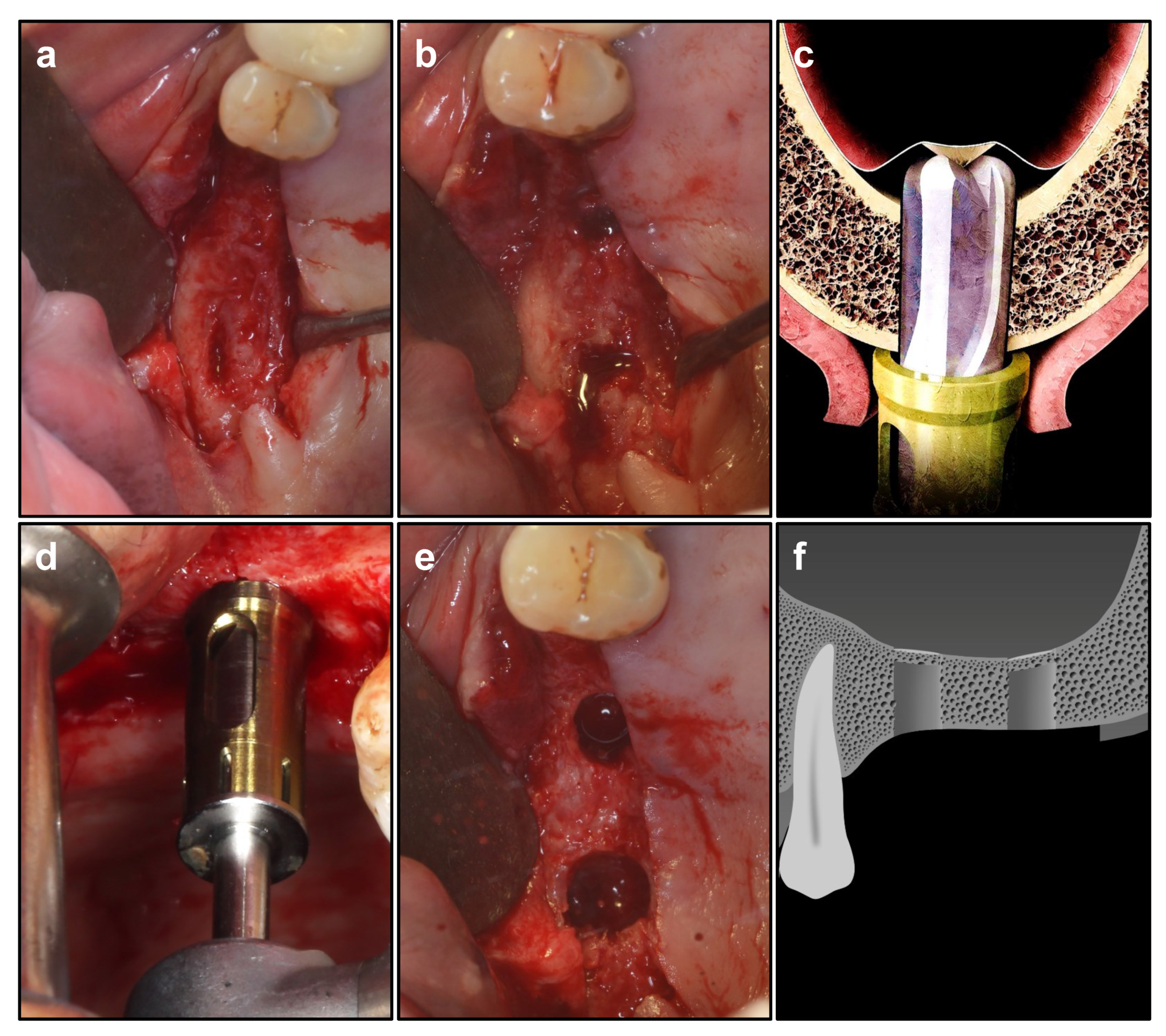 Ijerph 19 08019 g002 550