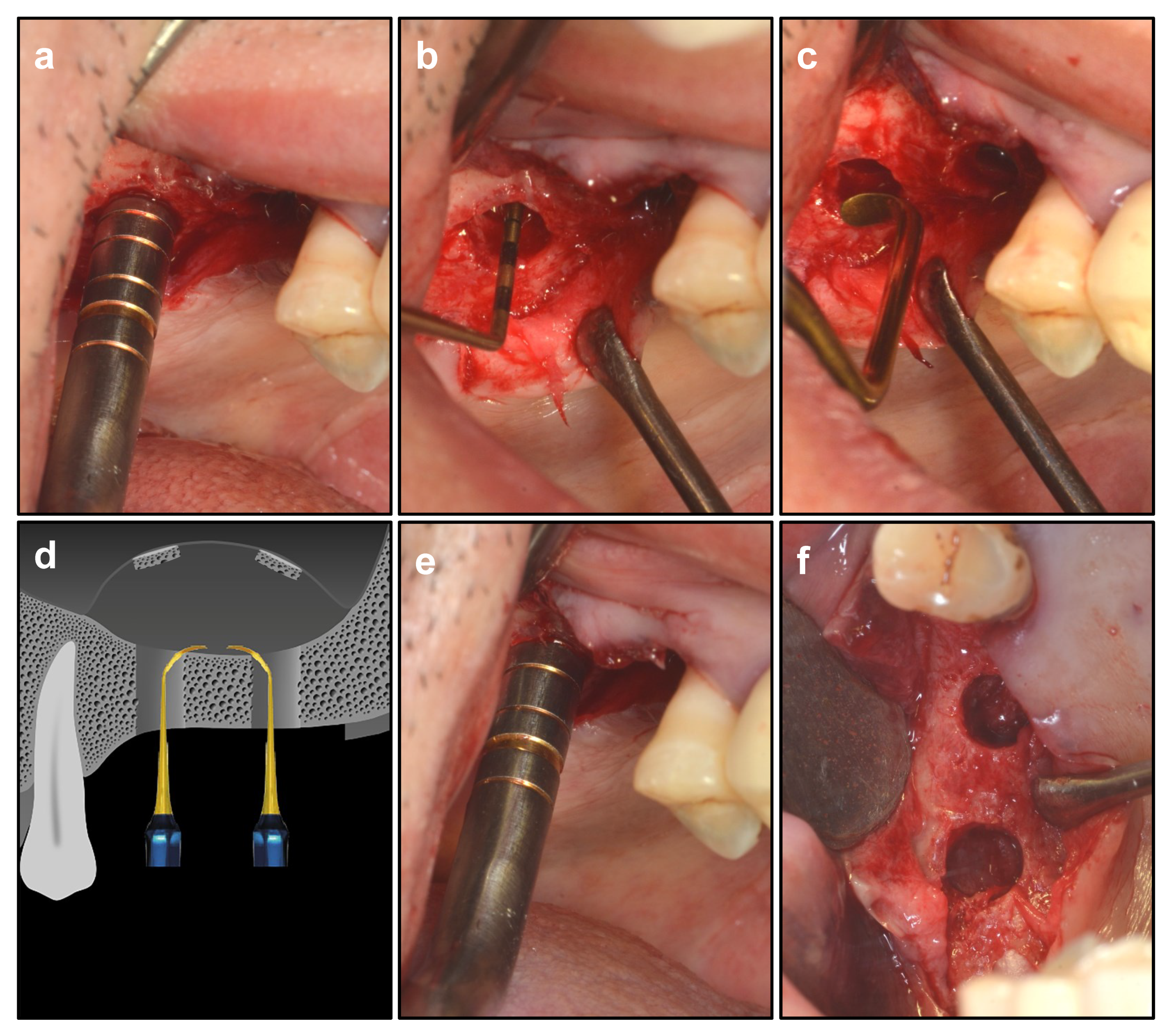 Ijerph 19 08019 g003 550