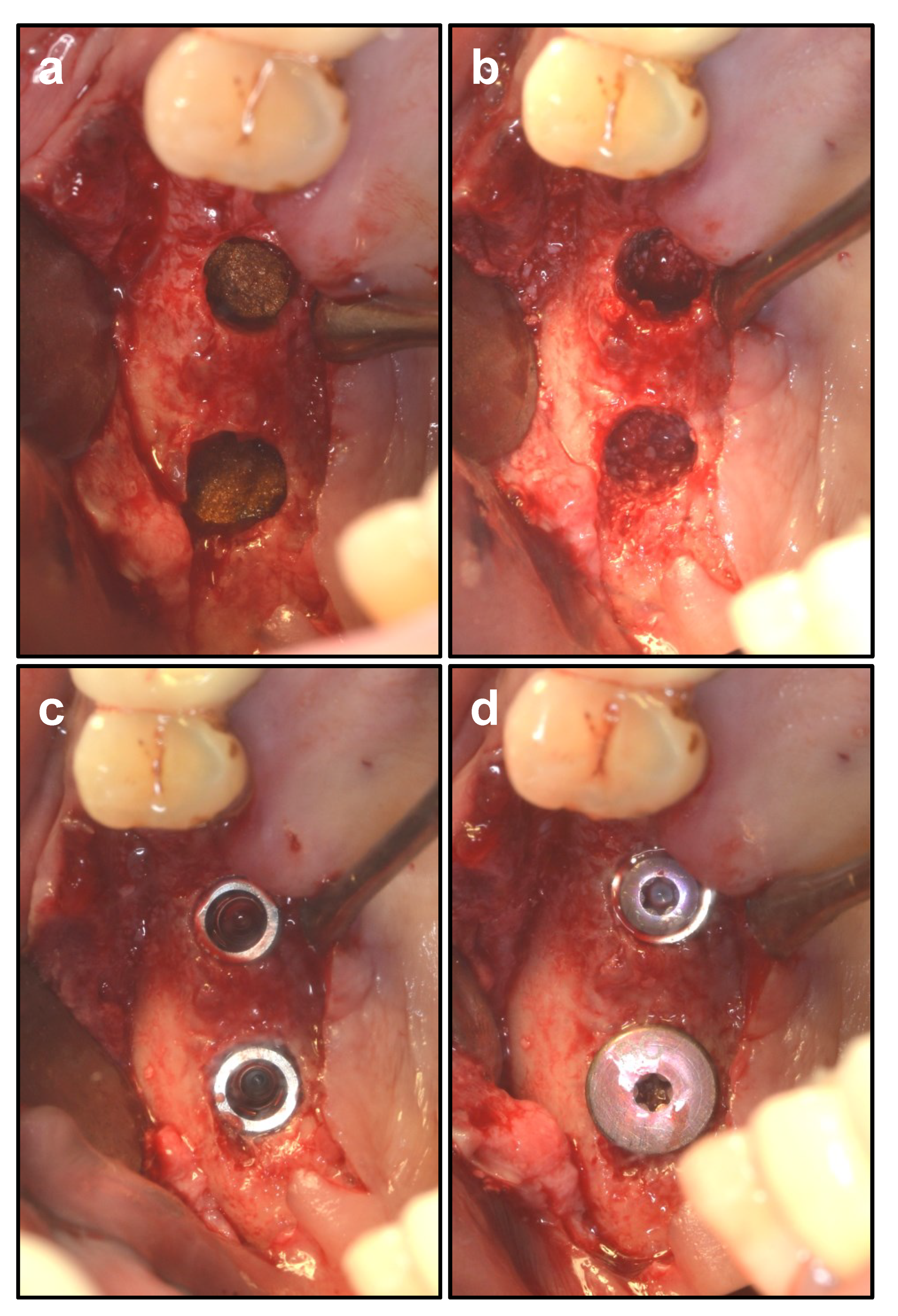 Ijerph 19 08019 g004 550