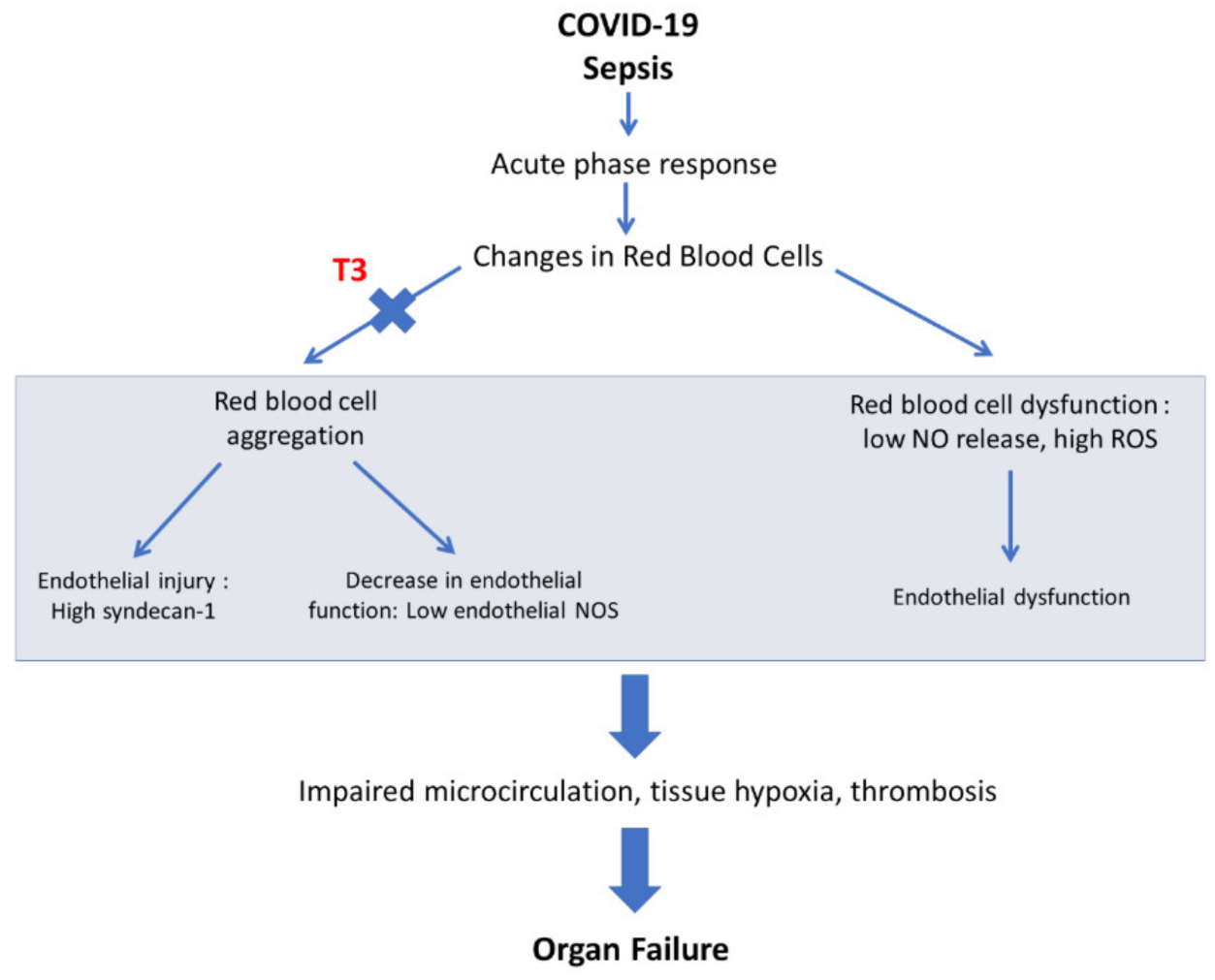 Ijerph 19 08063 g001