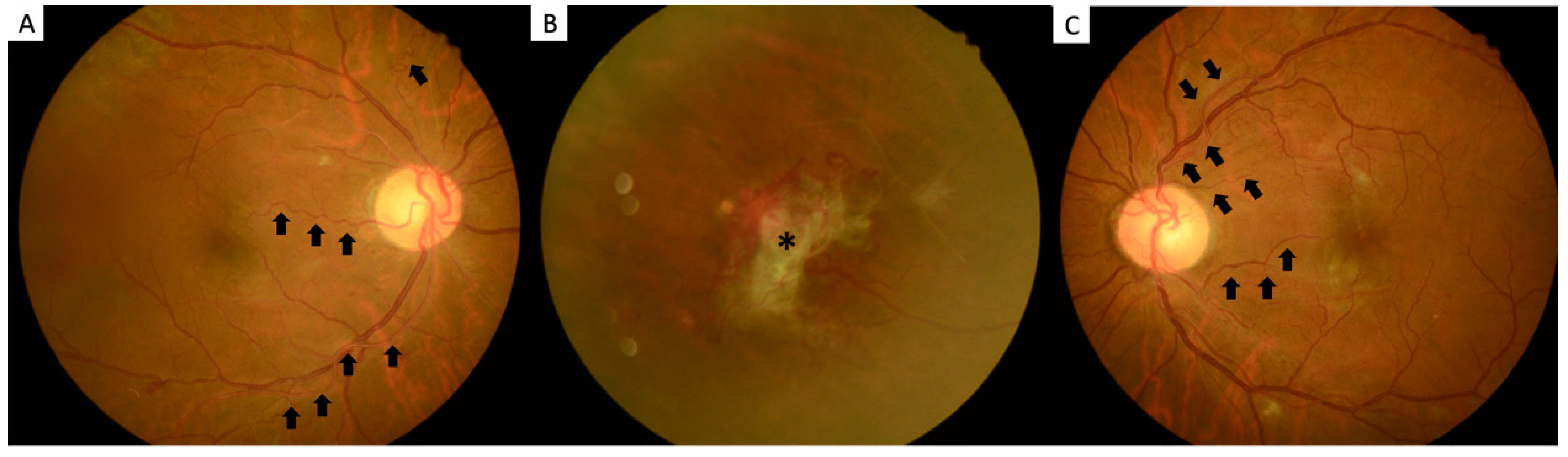 Ijerph 19 08072 g001 550