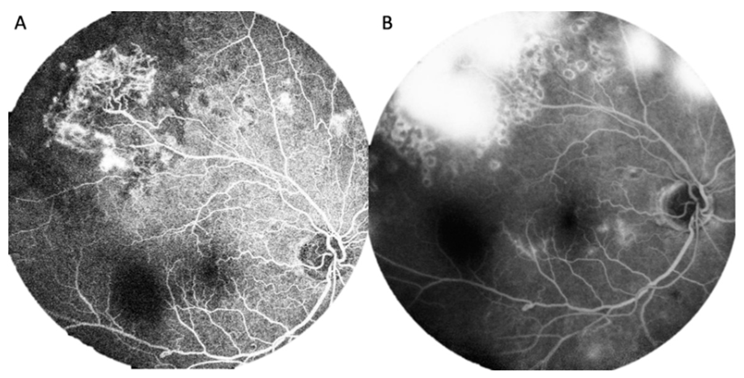 Ijerph 19 08072 g002 550