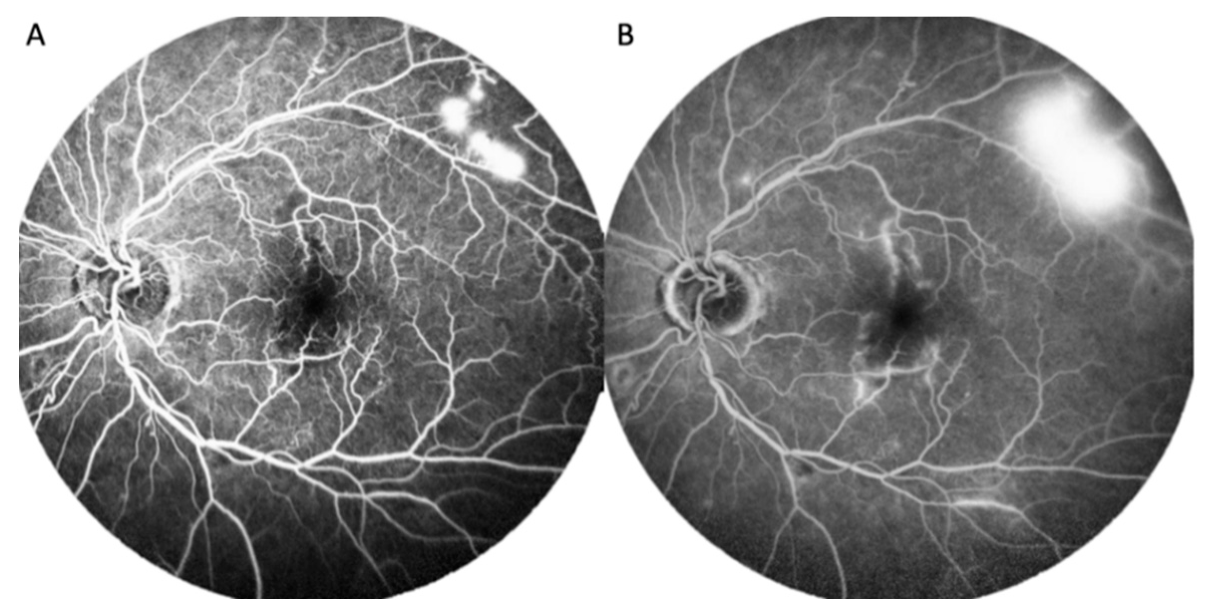 Ijerph 19 08072 g003 550