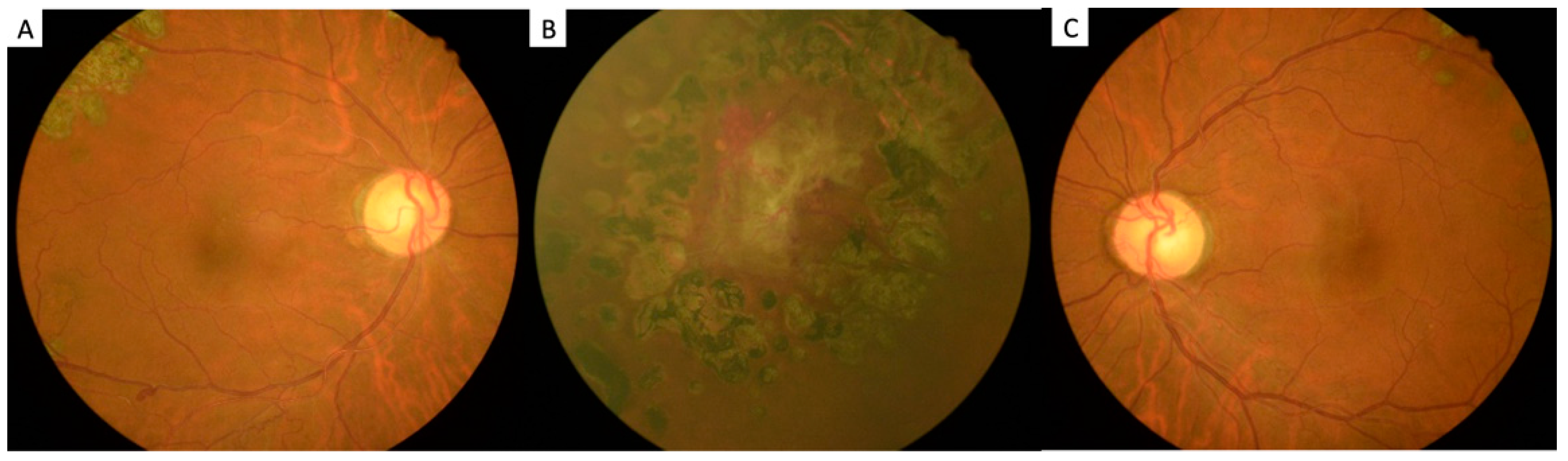 Ijerph 19 08072 g004 550