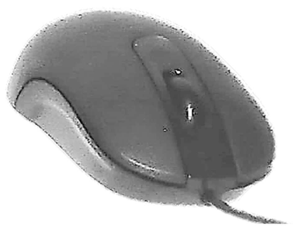 Ijerph 19 08126 g007 550