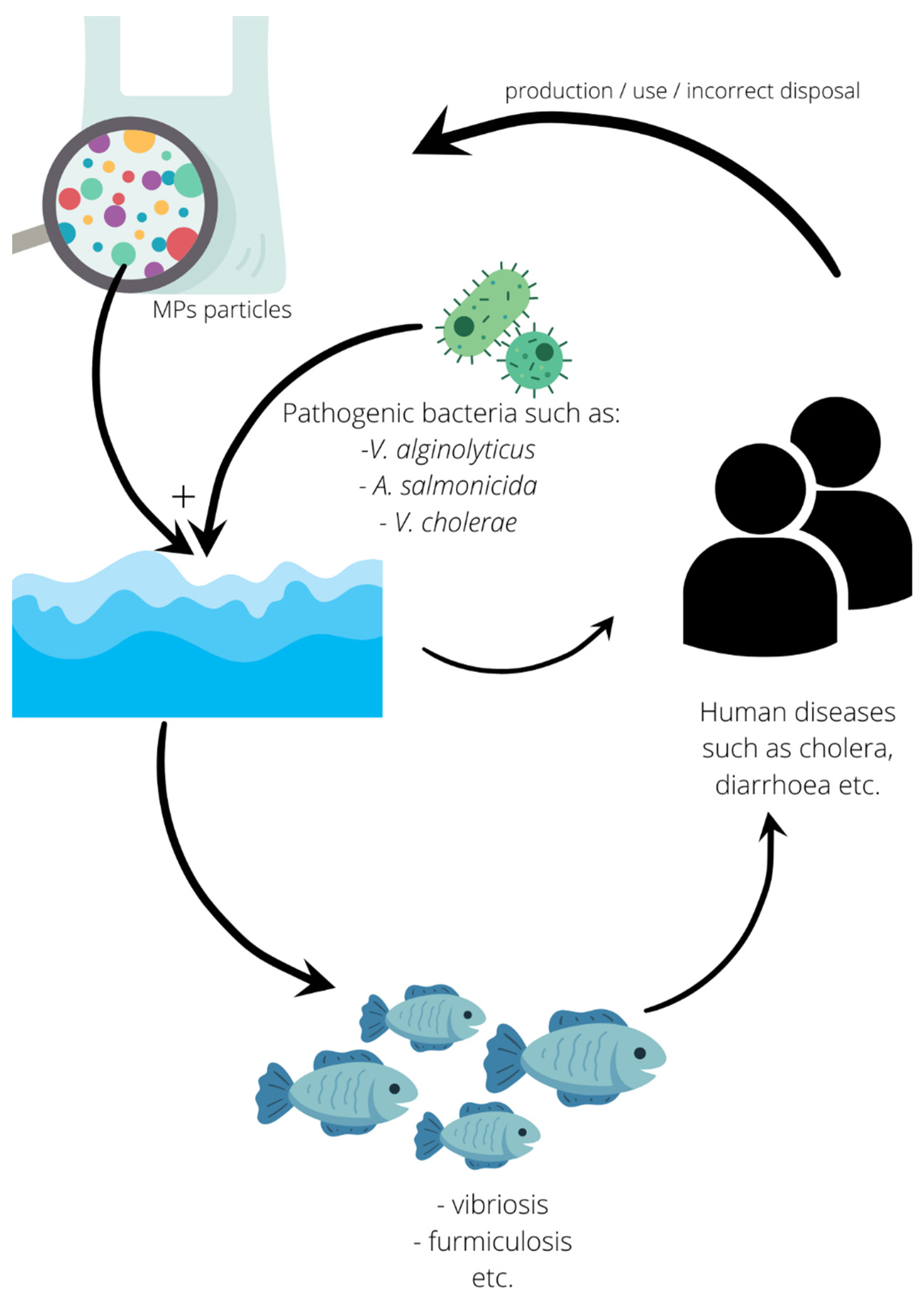 Ijerph 19 08137 g004 550