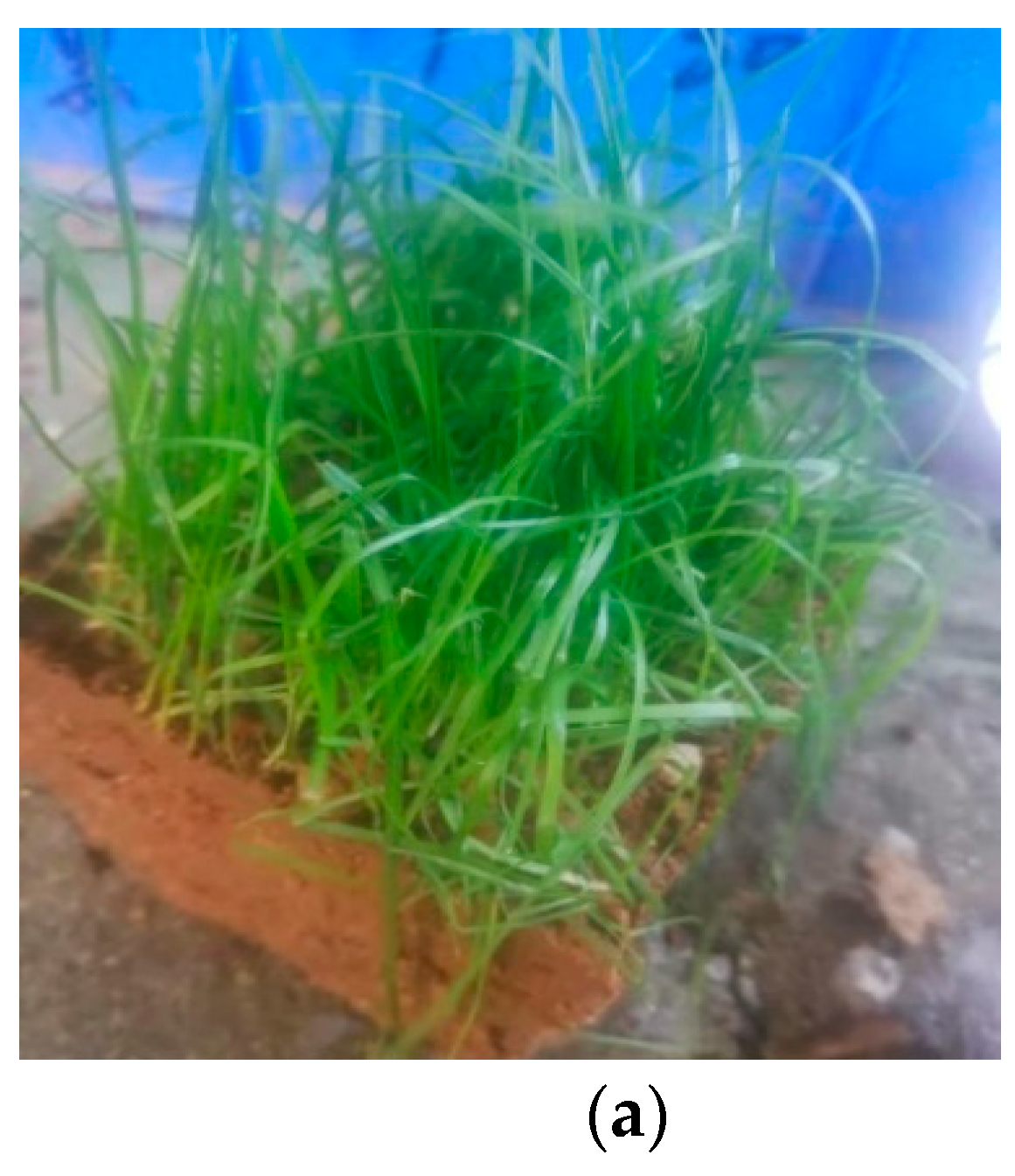 Ijerph 19 08143 g005a