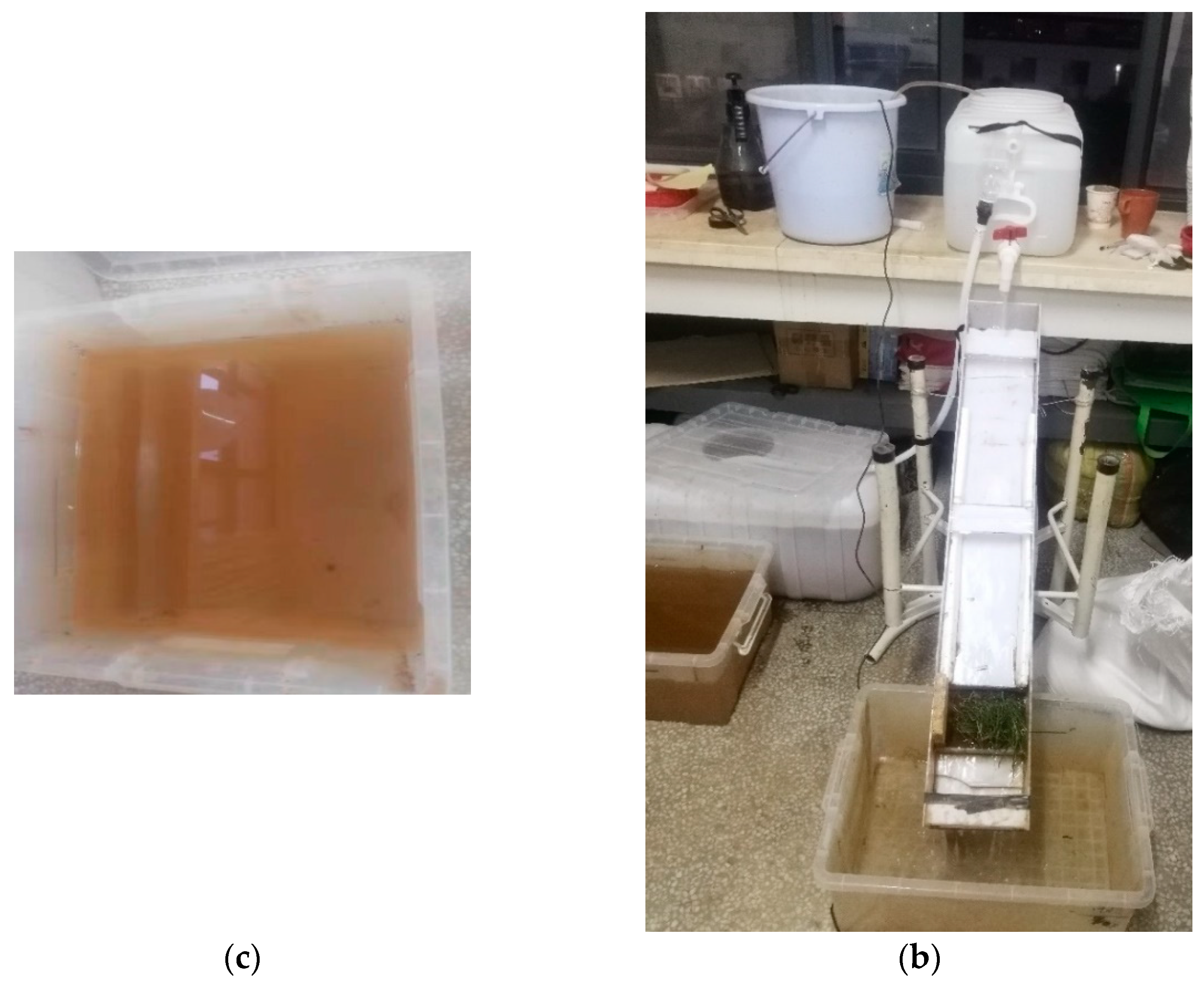 Ijerph 19 08143 g005b