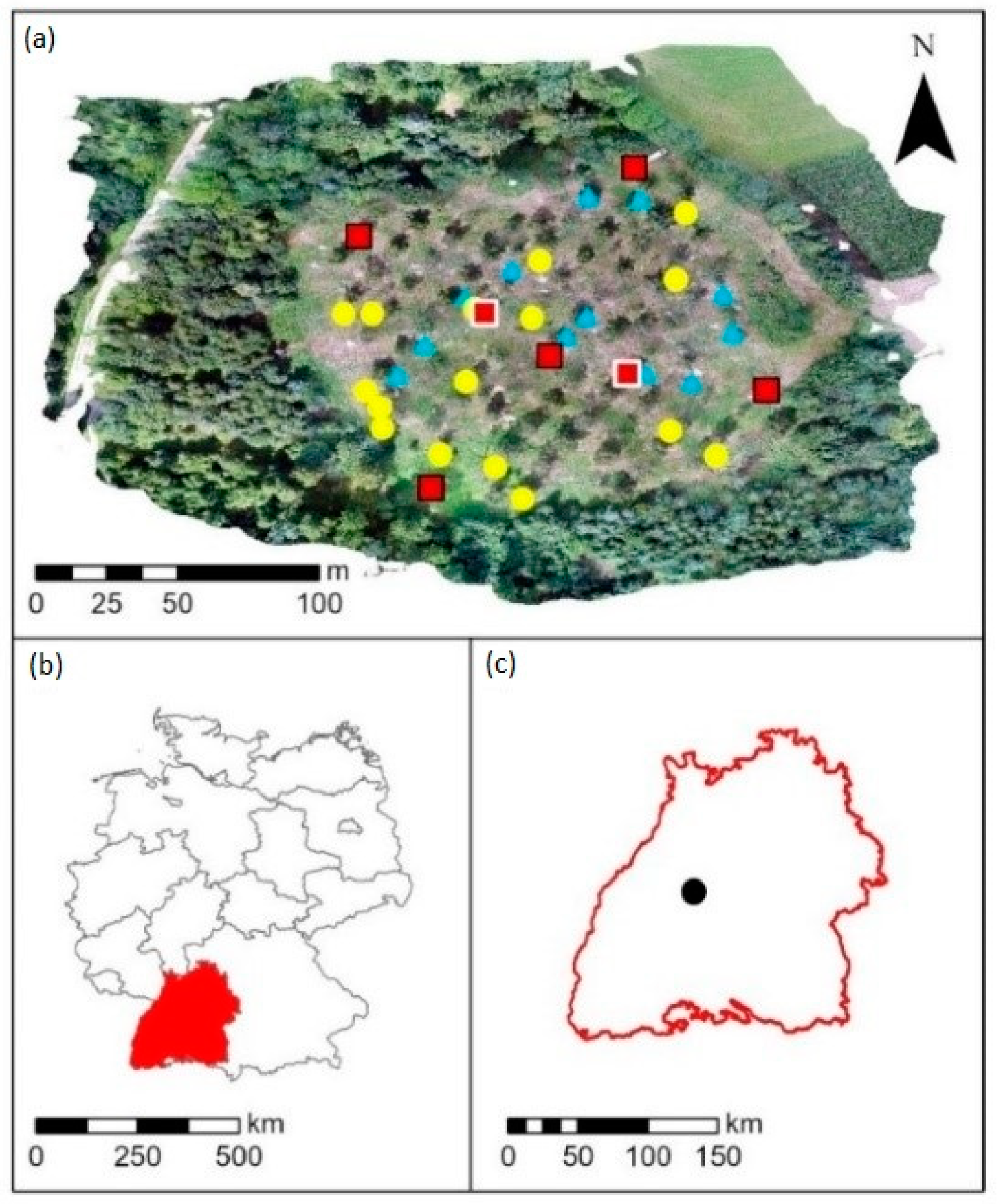 Ijerph 19 08160 g001