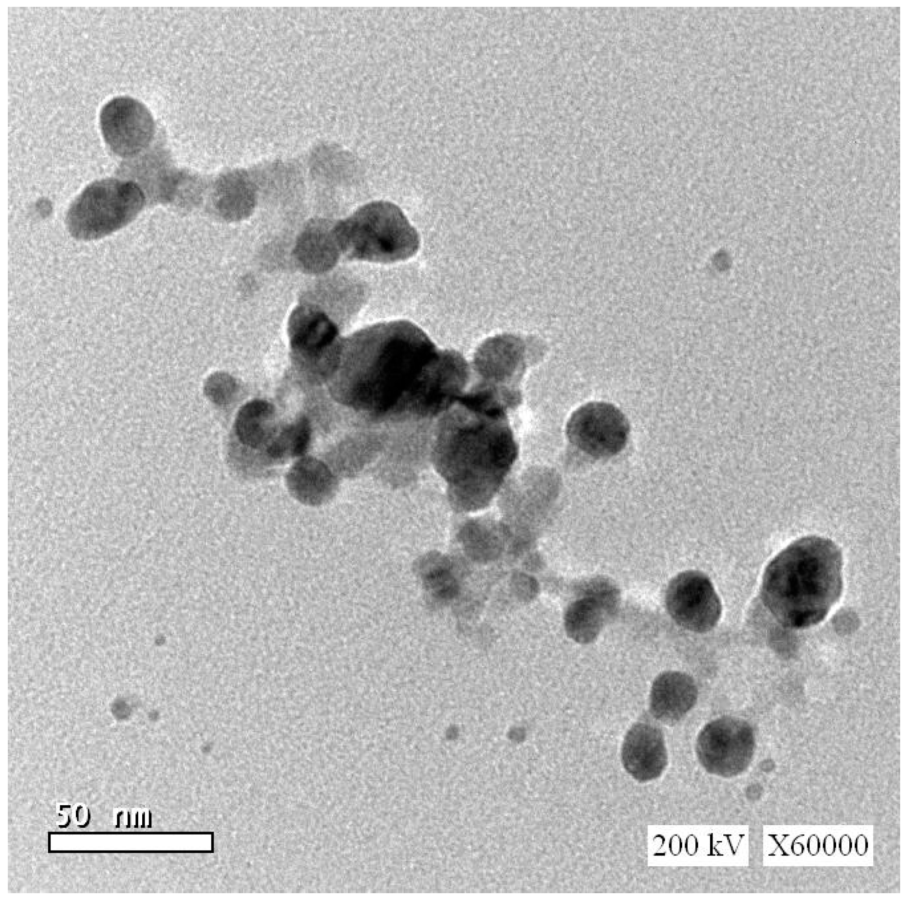 Ijerph 19 08171 g001 550